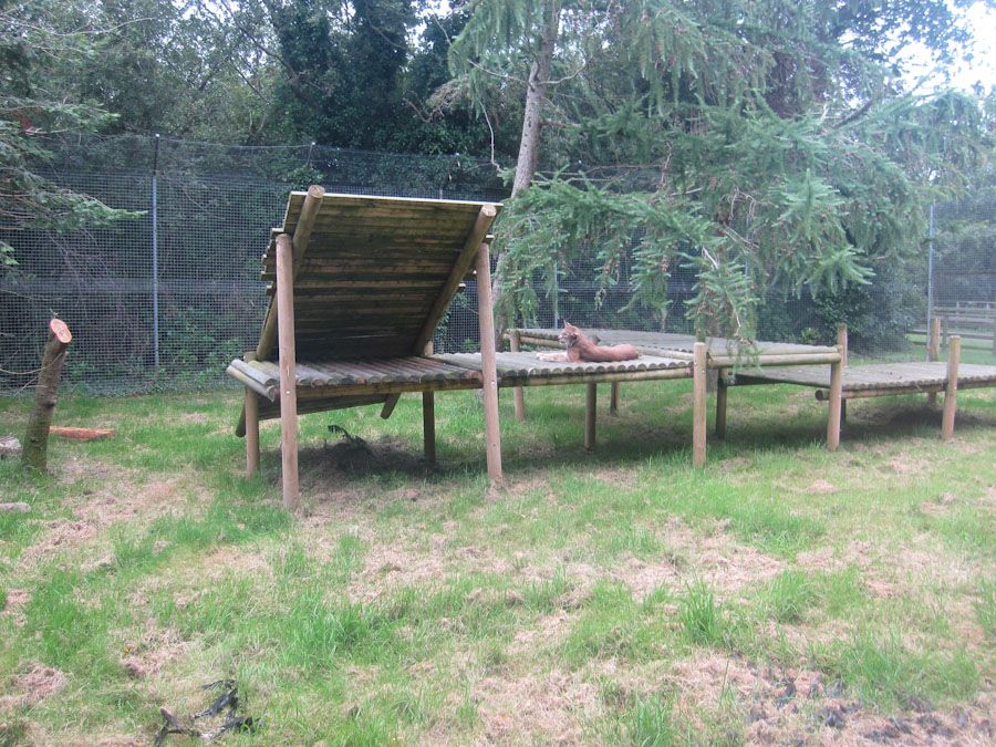 Lynx enclosure