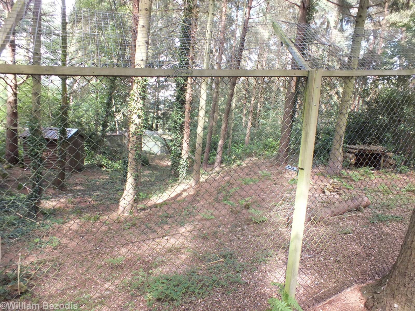 Lynx Enclosure