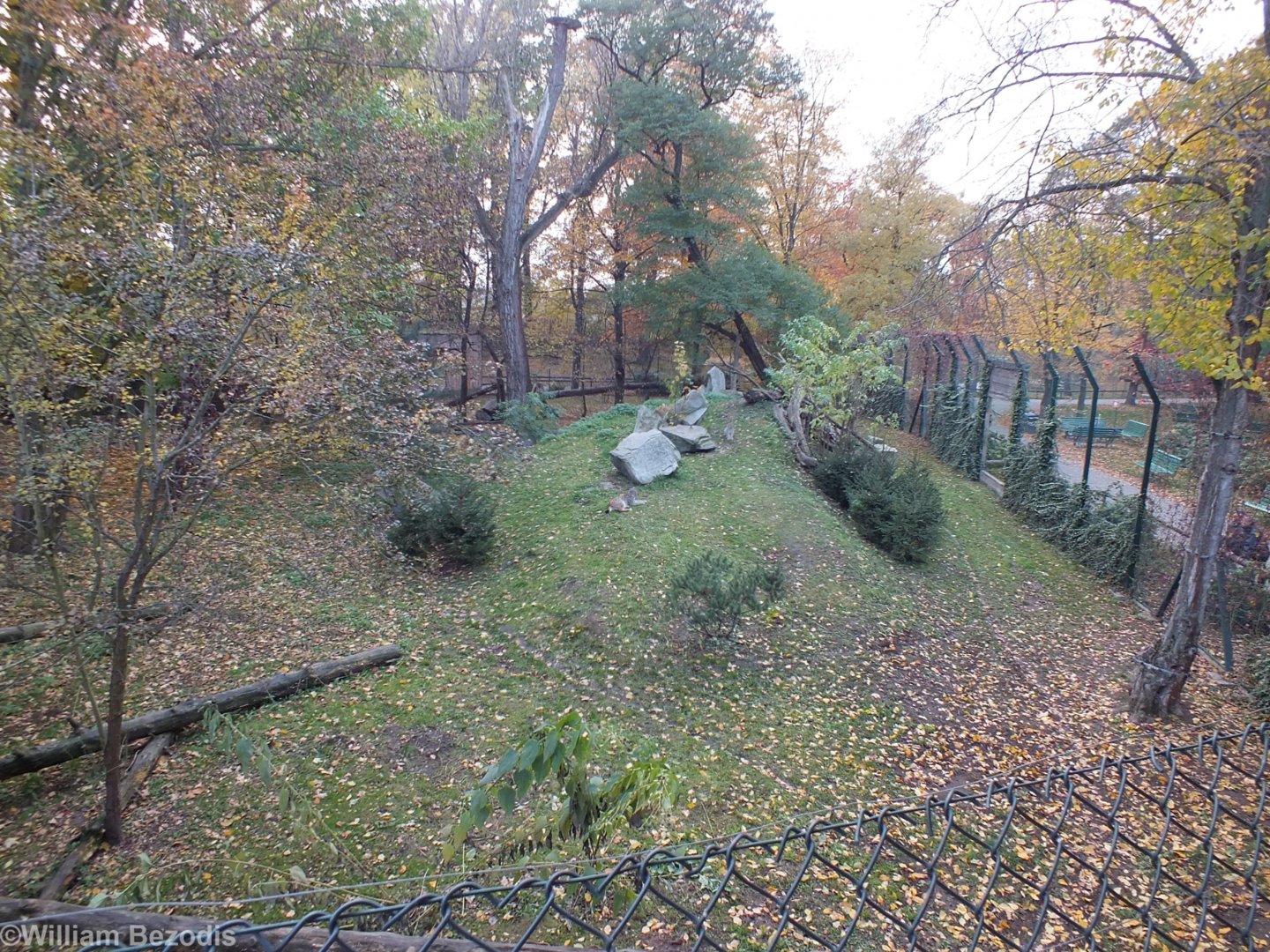 Lynx Enclosure