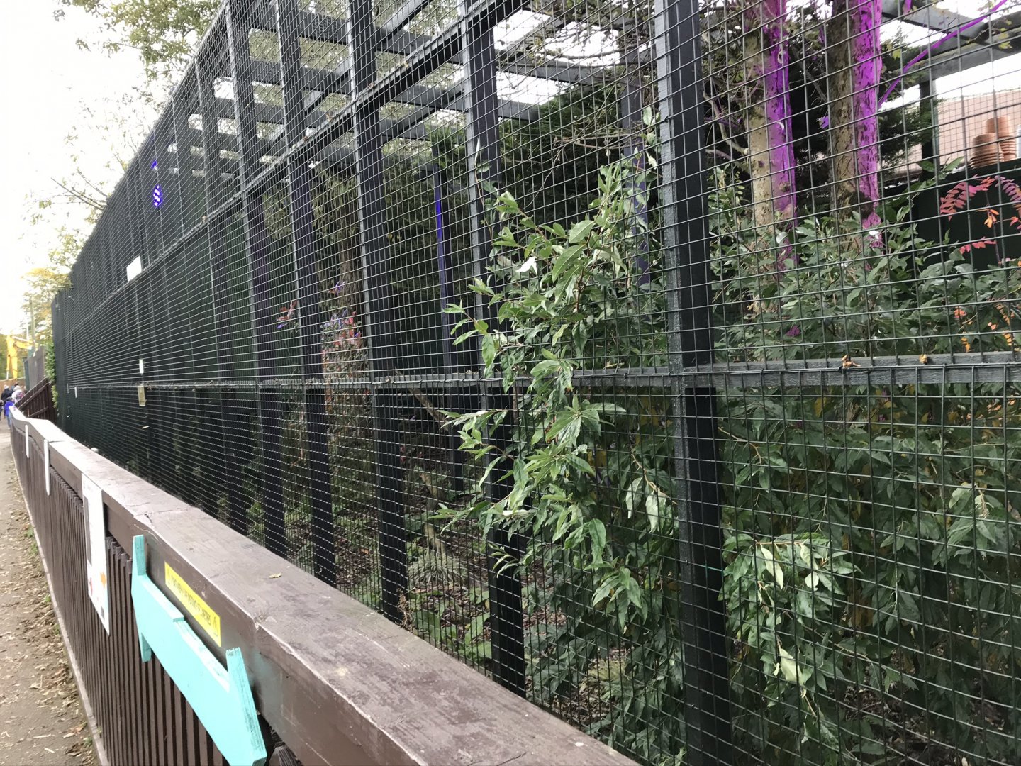 Lynx enclosure