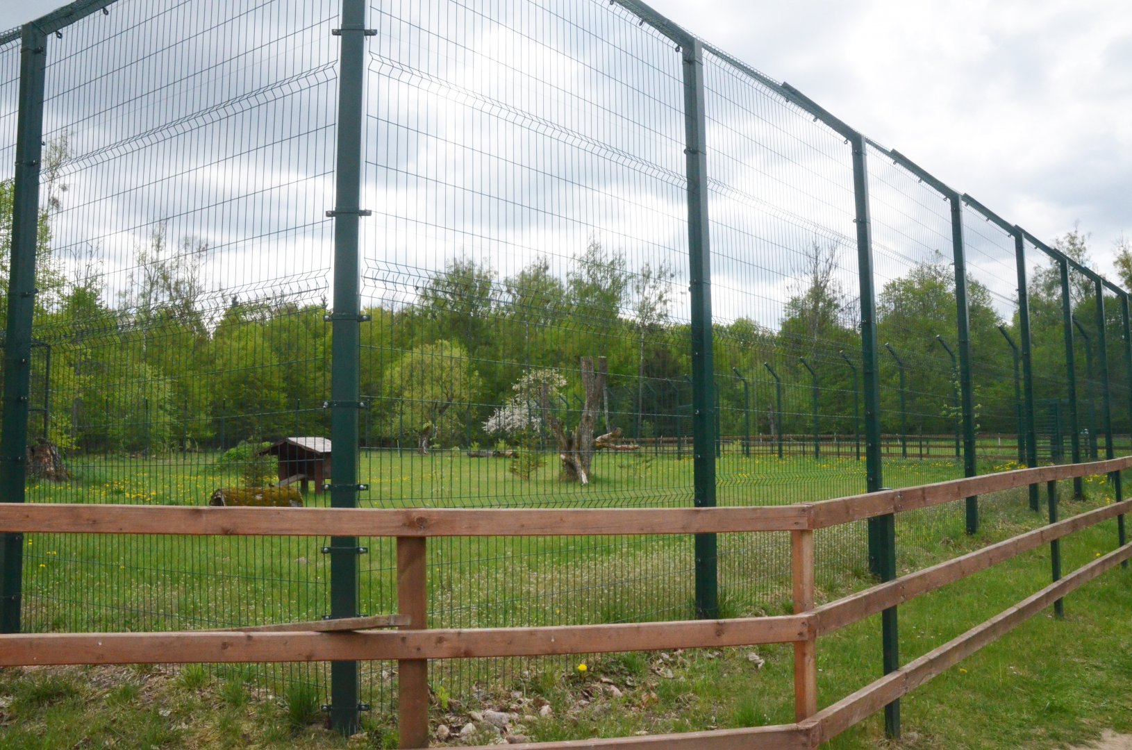 Lynx Enclosures at Rezerwat Pokazowy Żubrów, Białowieża 07/05/19