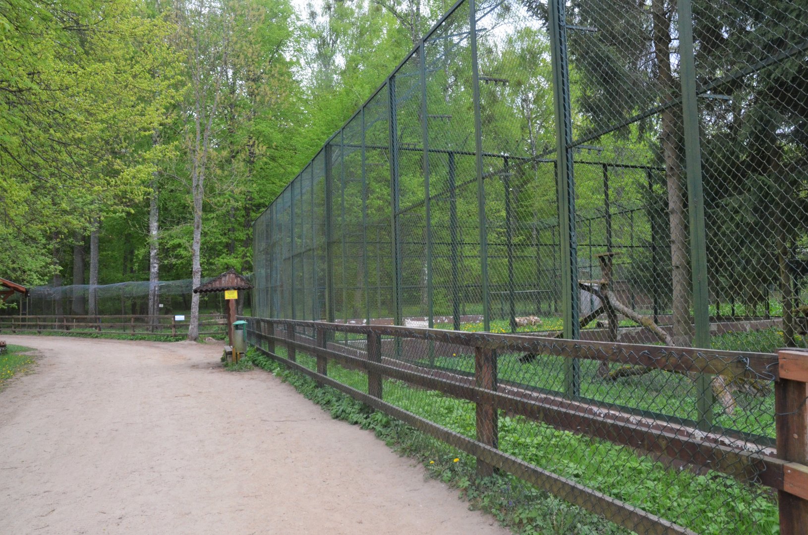 Lynx Enclosures at Rezerwat Pokazowy Żubrów, Białowieża 07/05/19