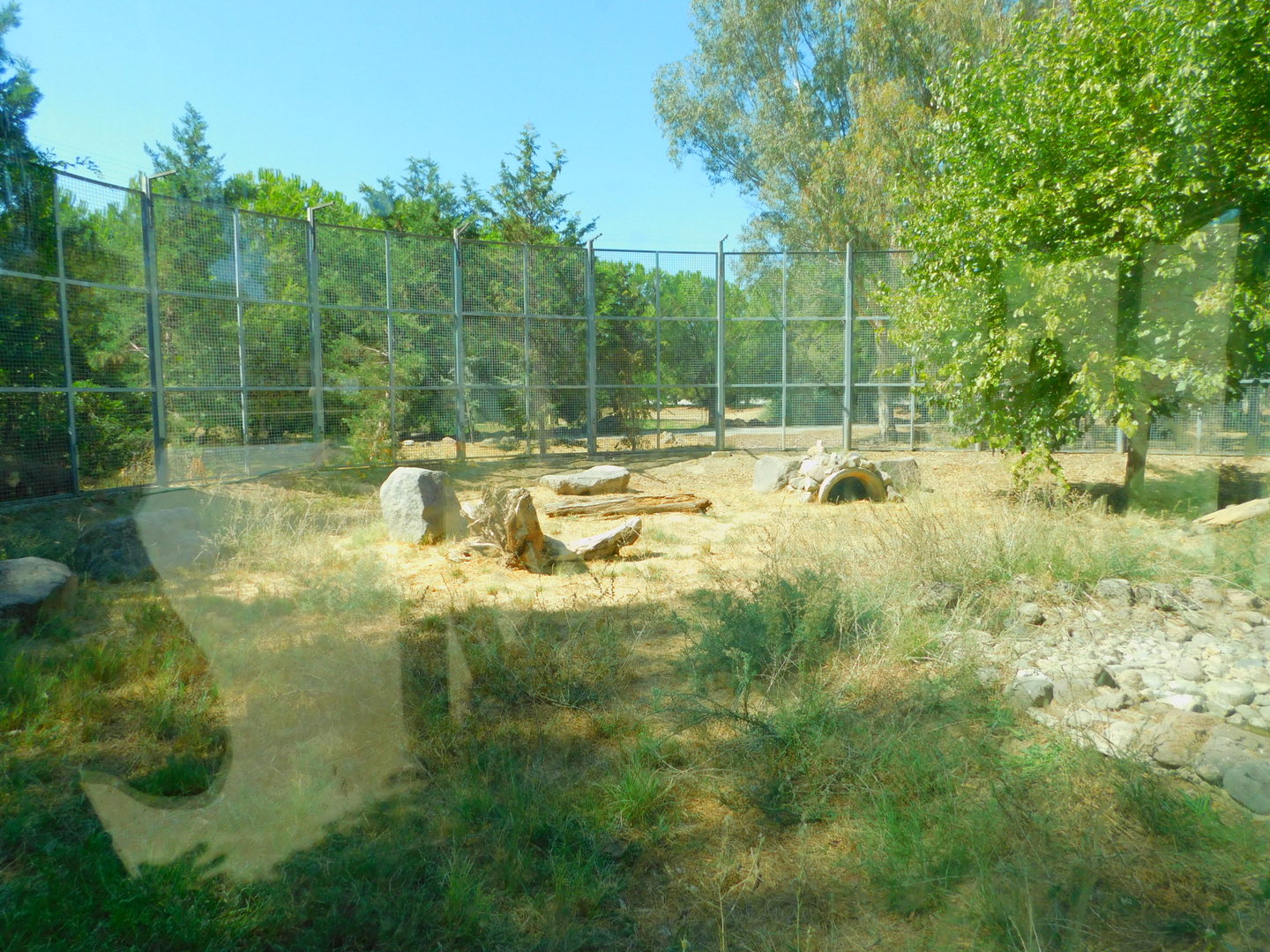 Lynx Enclosures