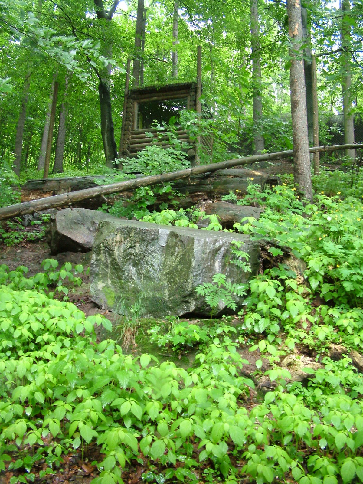 Lynx exhibit at Jihlava, 31/05/10