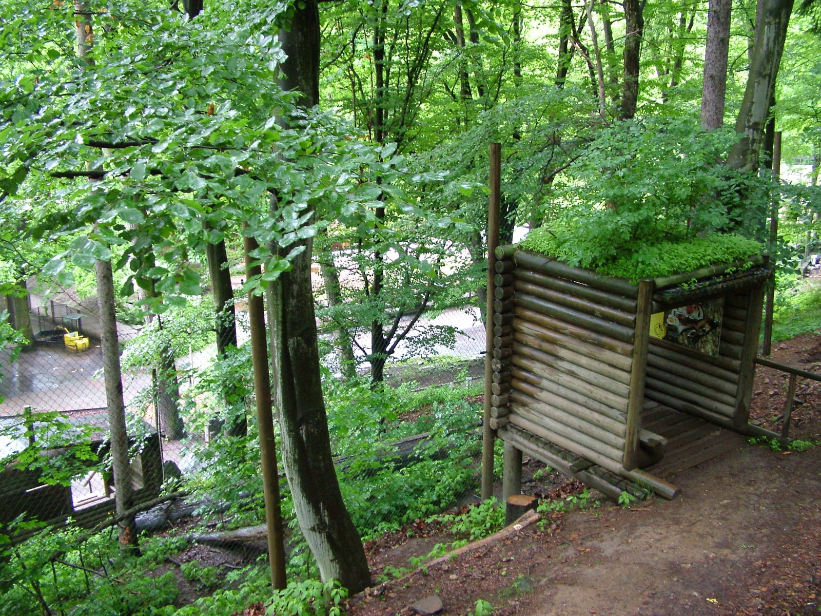 Lynx exhibit at Jihlava, 31/05/10