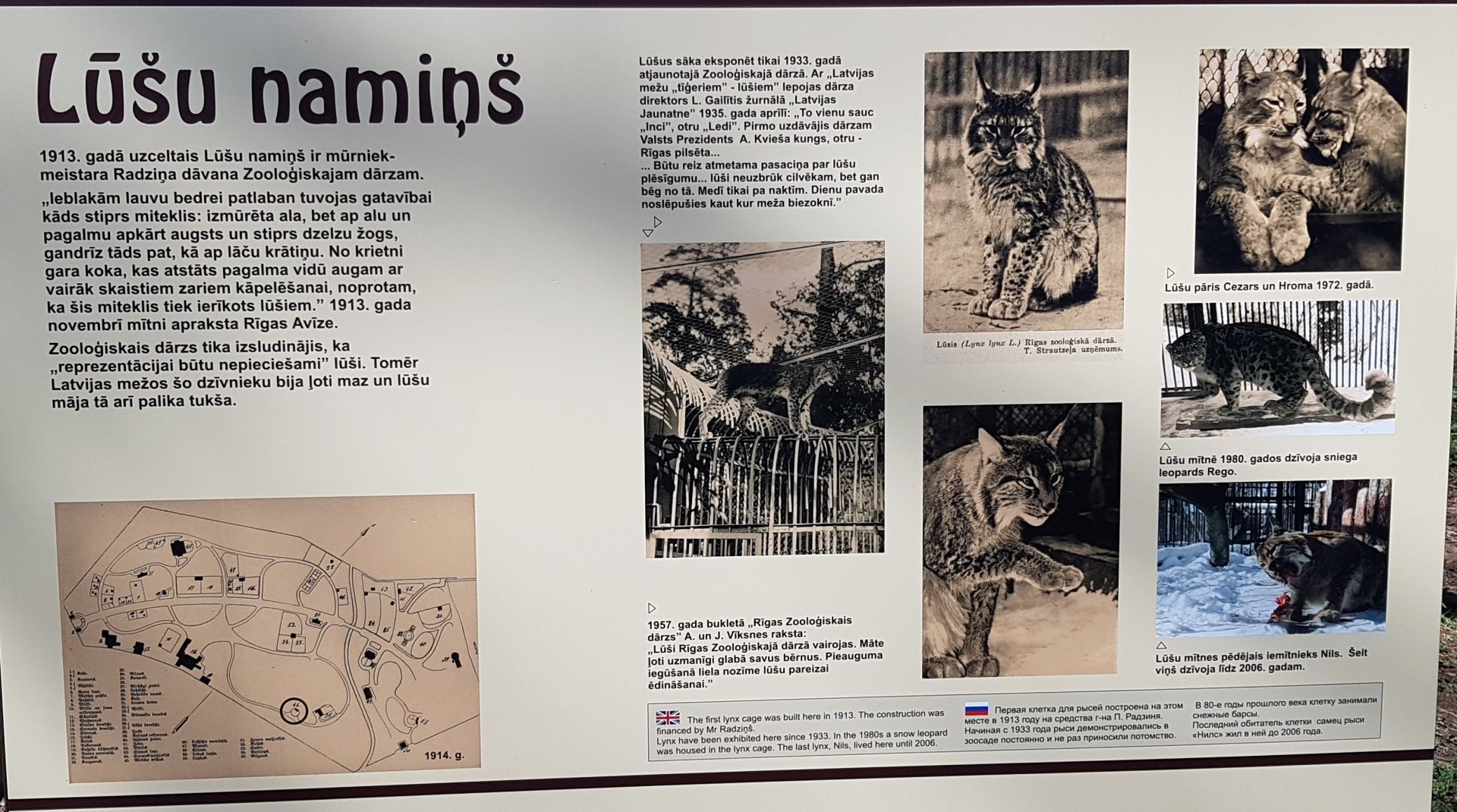Lynx exhibit history