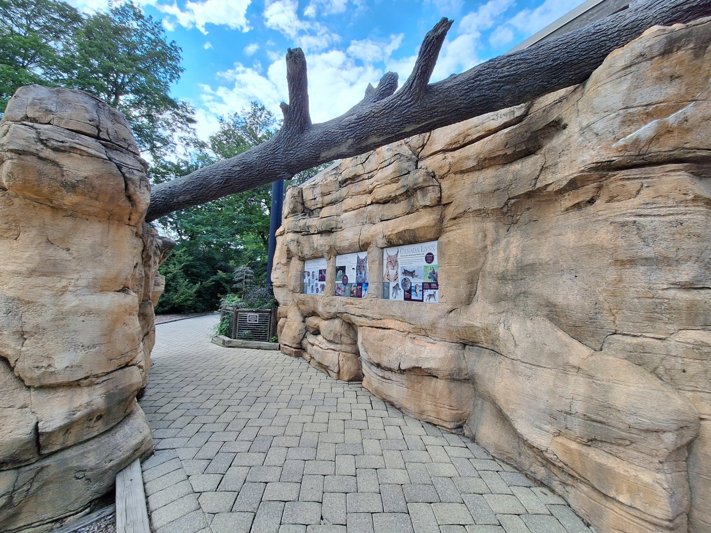 Lynx exhibit pathway