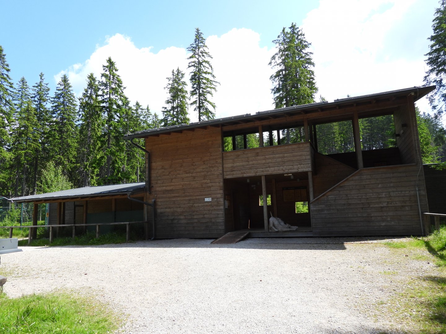 Lynx exhibit, visitor area - National park Sumava, visitor center Kvilda