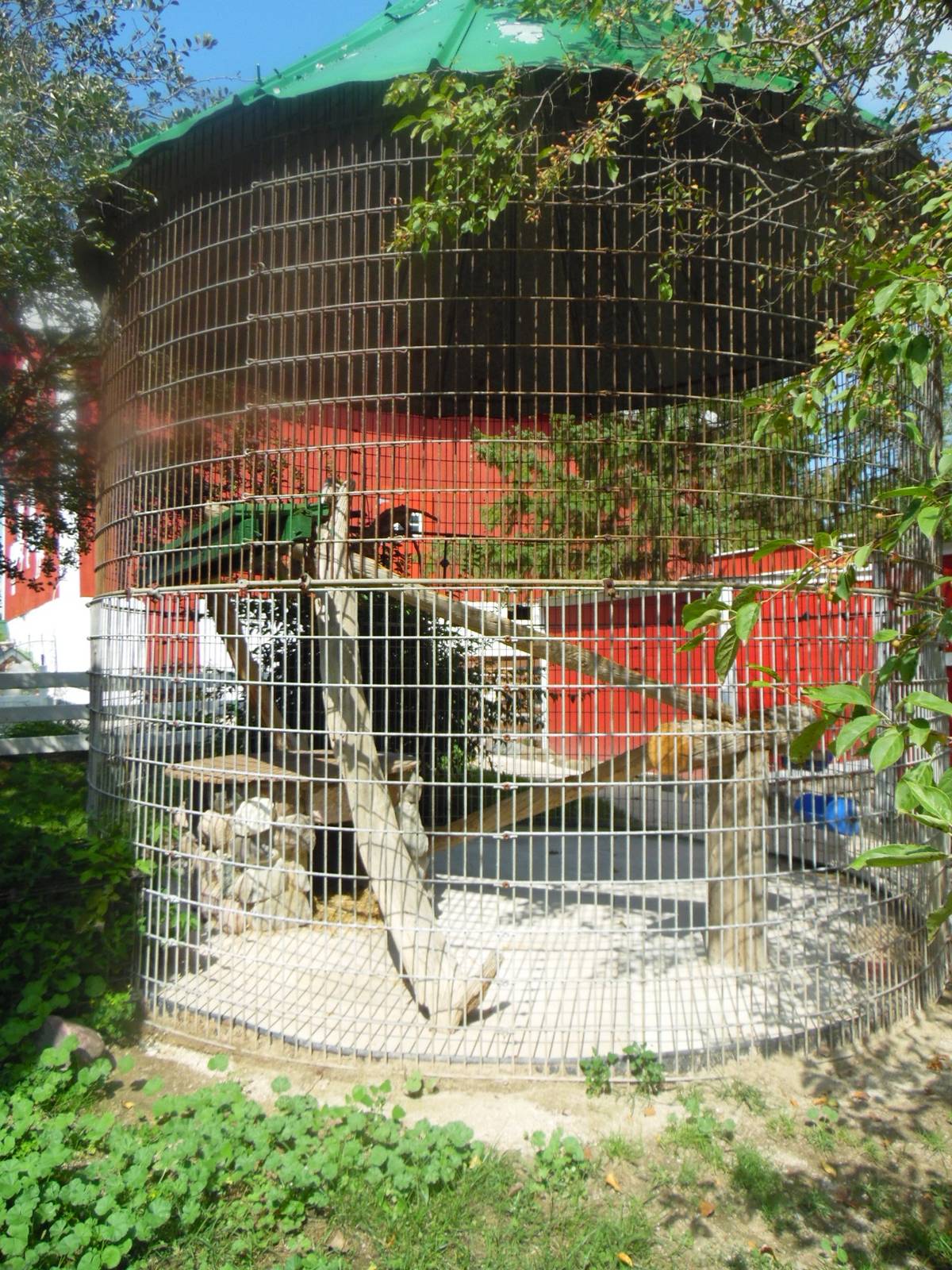 Lynx Exhibit