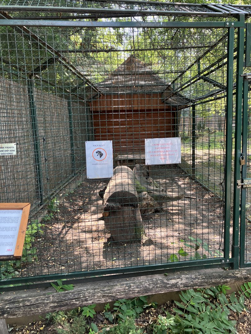 Lynx exhibit