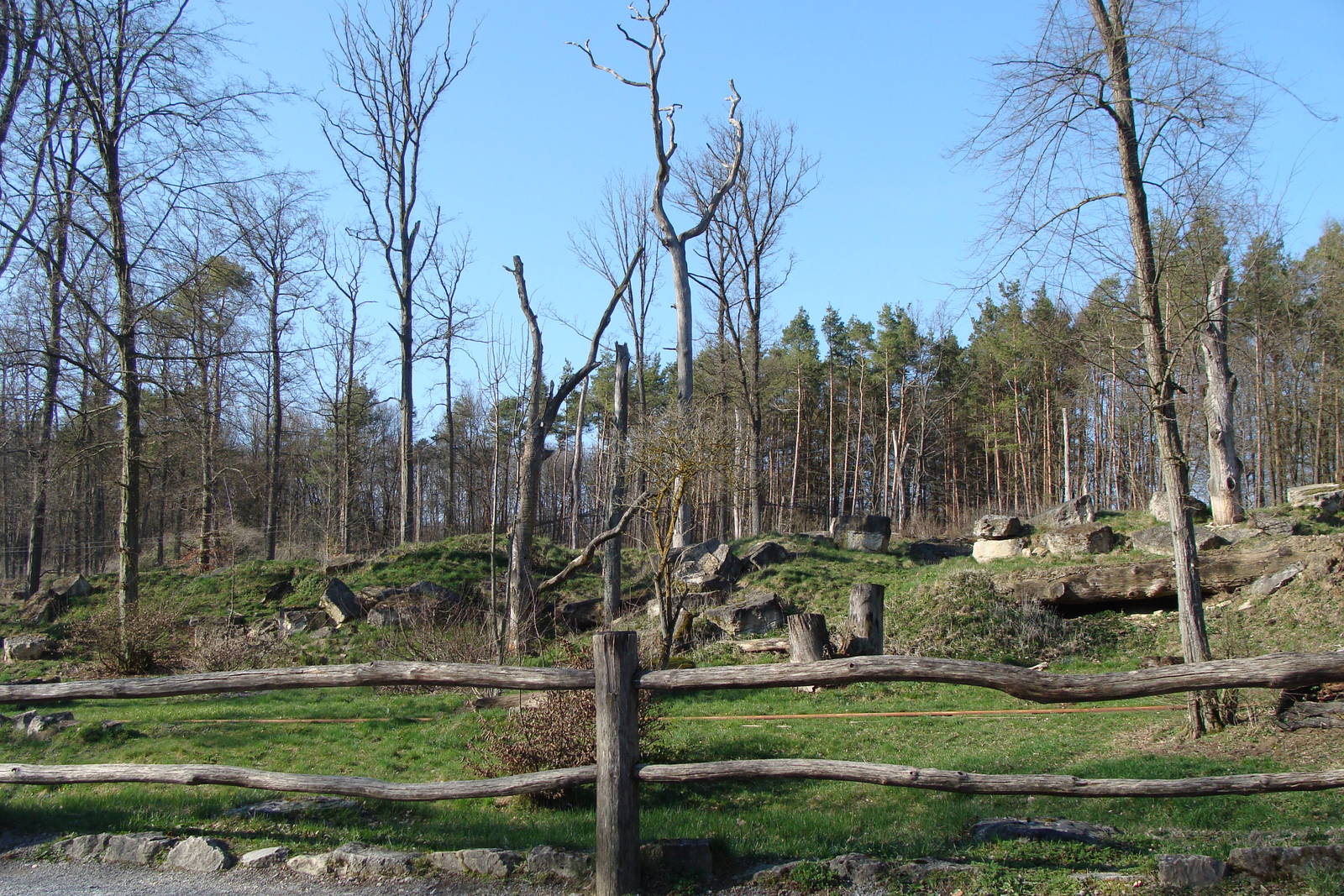 Lynx exhibit