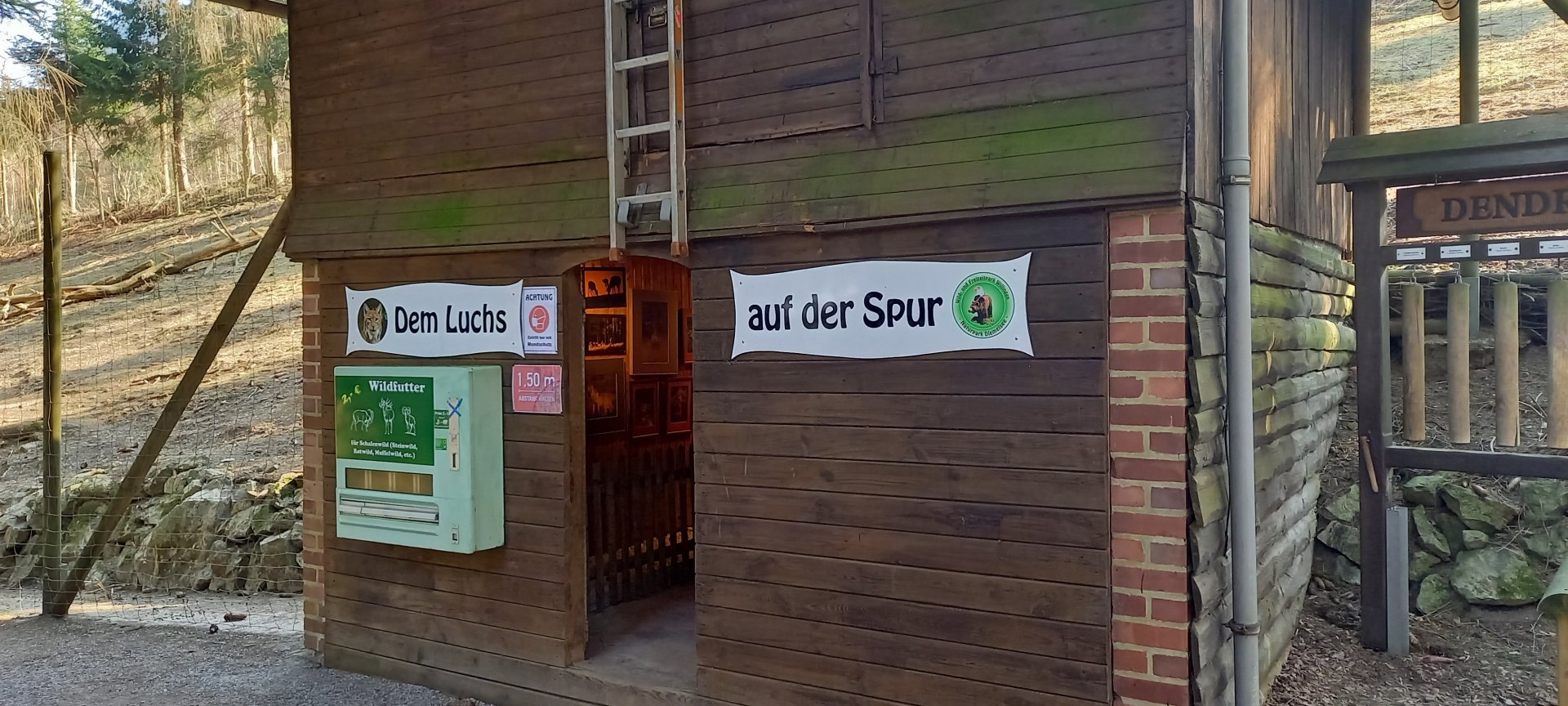 Lynx exibition outside