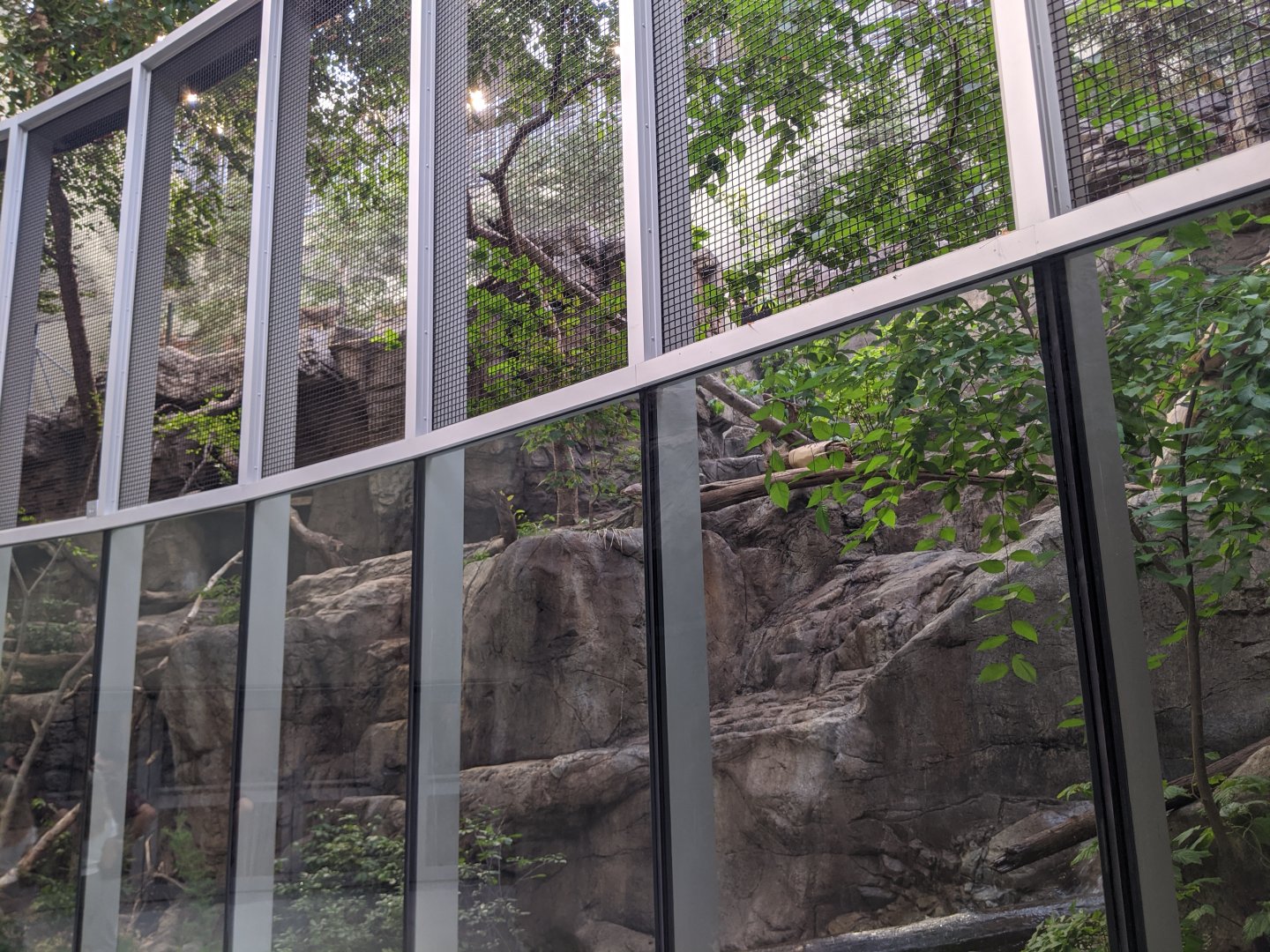 Lynx habitat - 03-09-2020