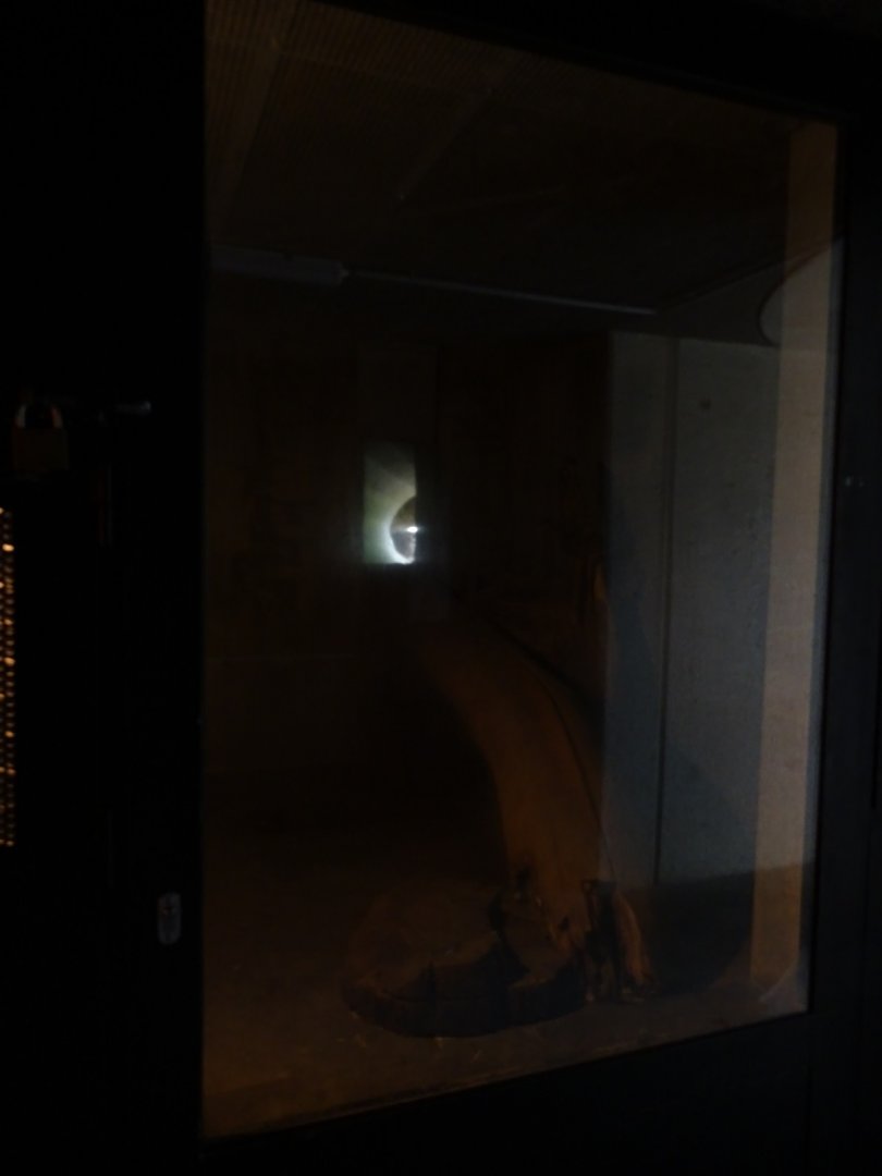 Lynx indoor enclosure