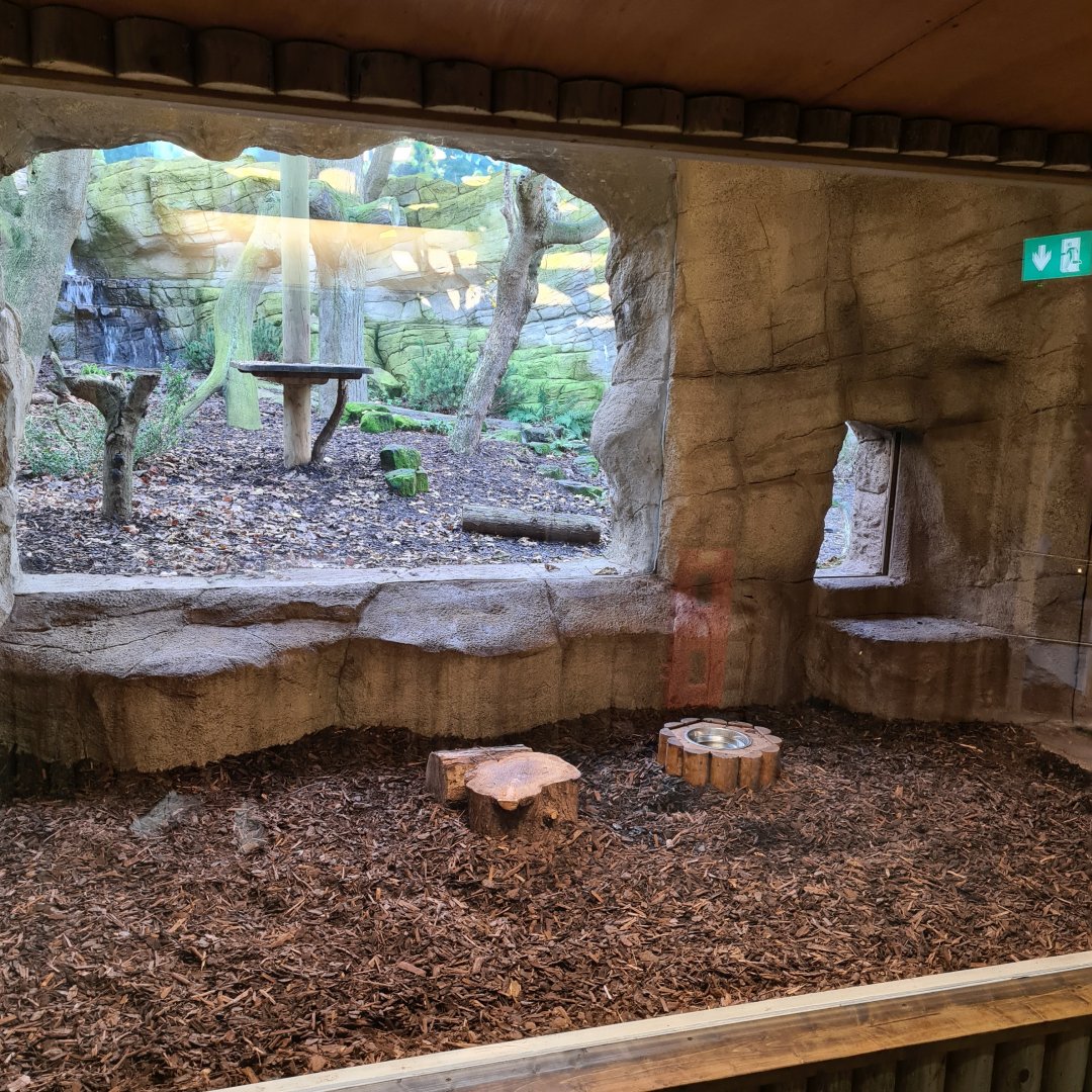 Lynx Indoors, Drusillas Park