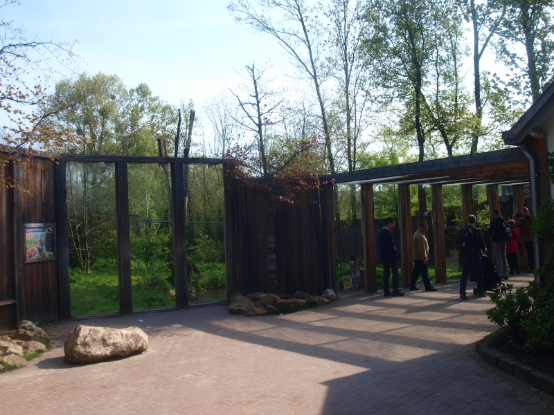 Lynx viewing area (May 2nd, 2015)