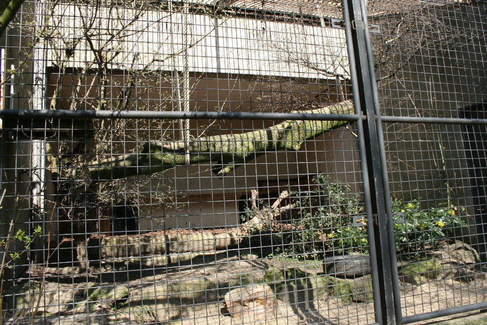 lynx_enclosure_7