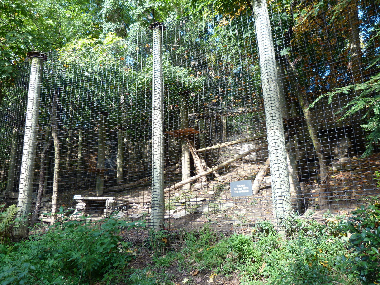 Lynxes exhibit.