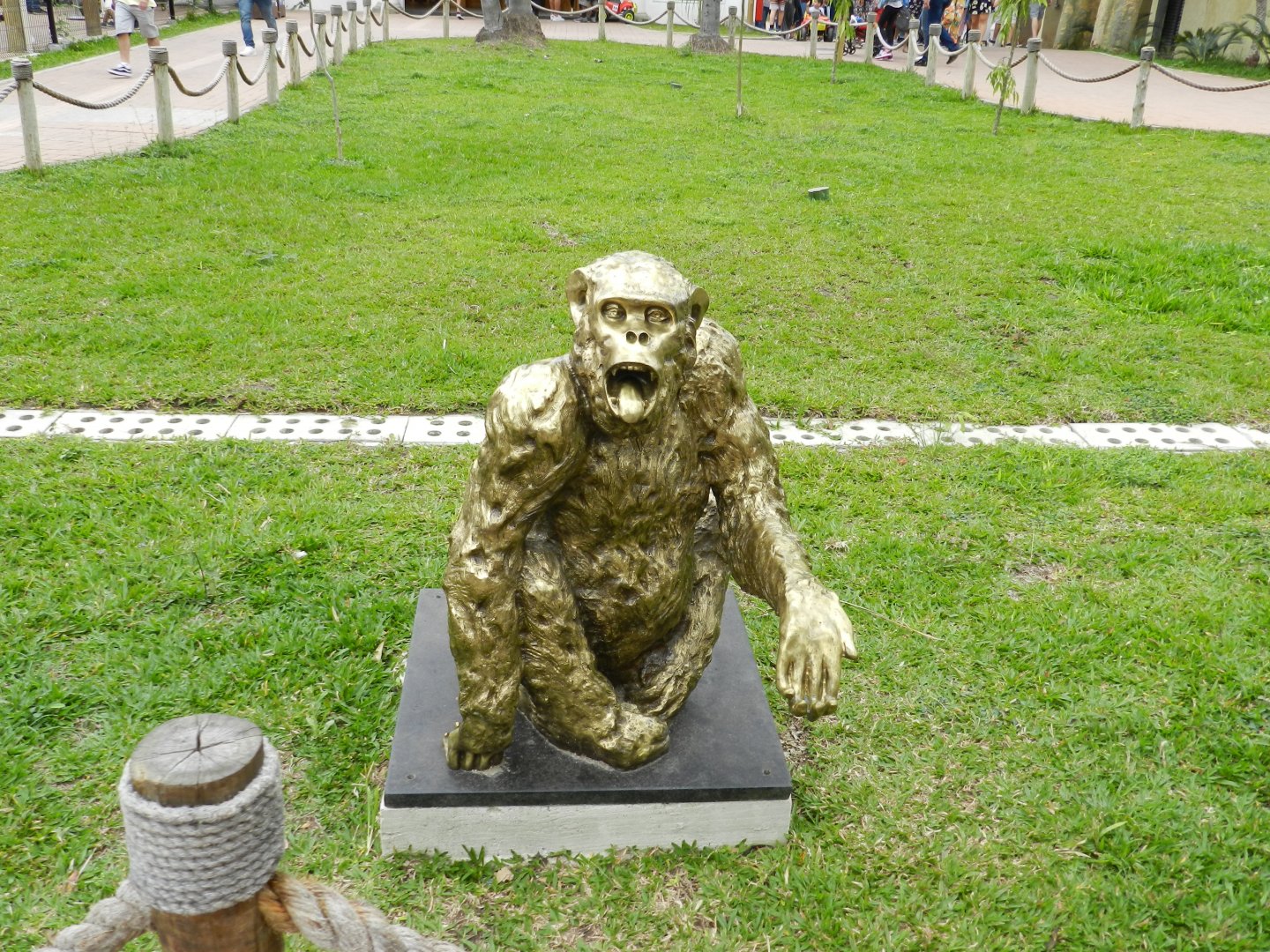 Macaco Tião statue - BioParque do Rio