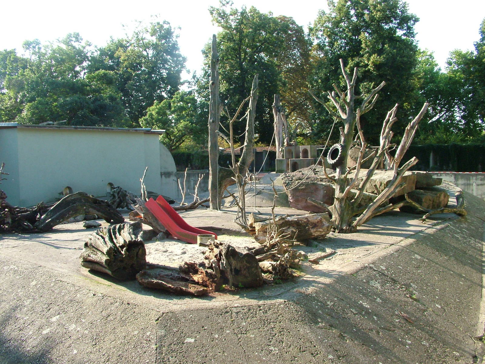 Macaque and Mongoose Exhibit at Heidelberg, 05/09/10