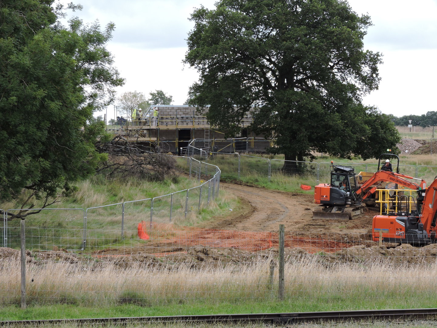 Macaque & Anoa Progress