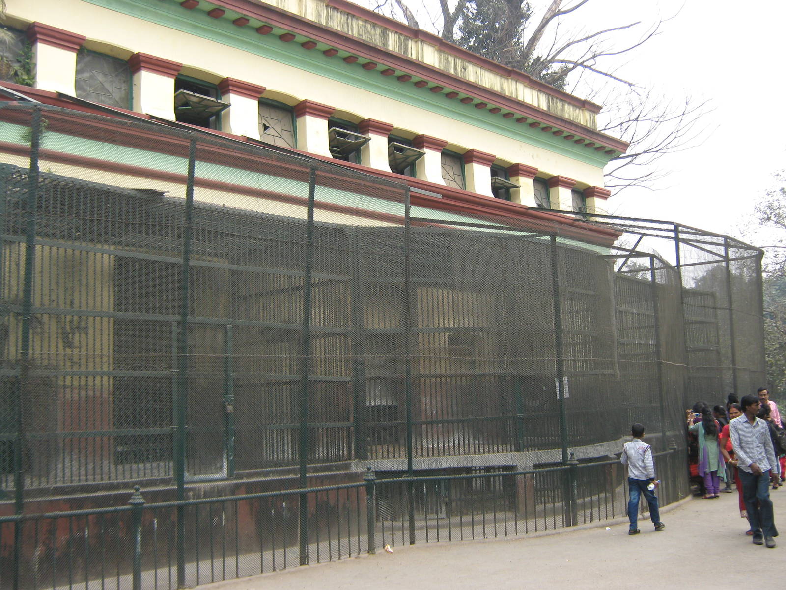 macaque cages