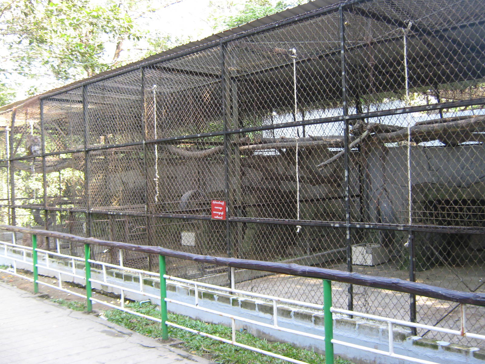 macaque cages