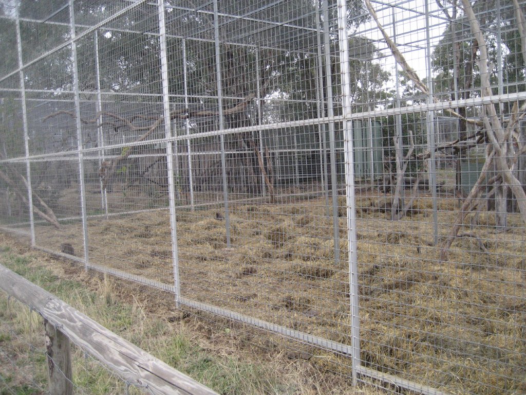 Macaque Enclosure