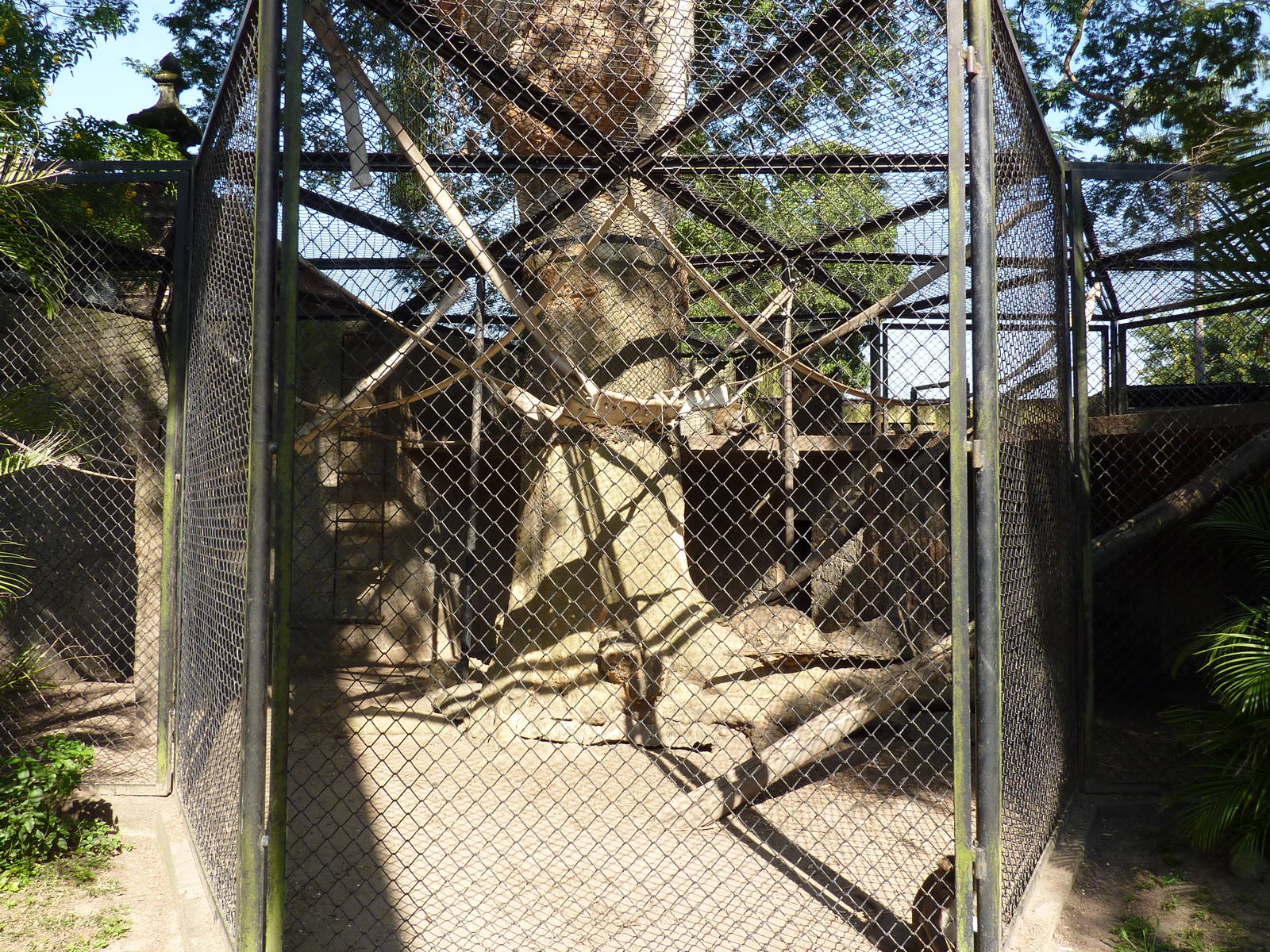Macaque enclosure
