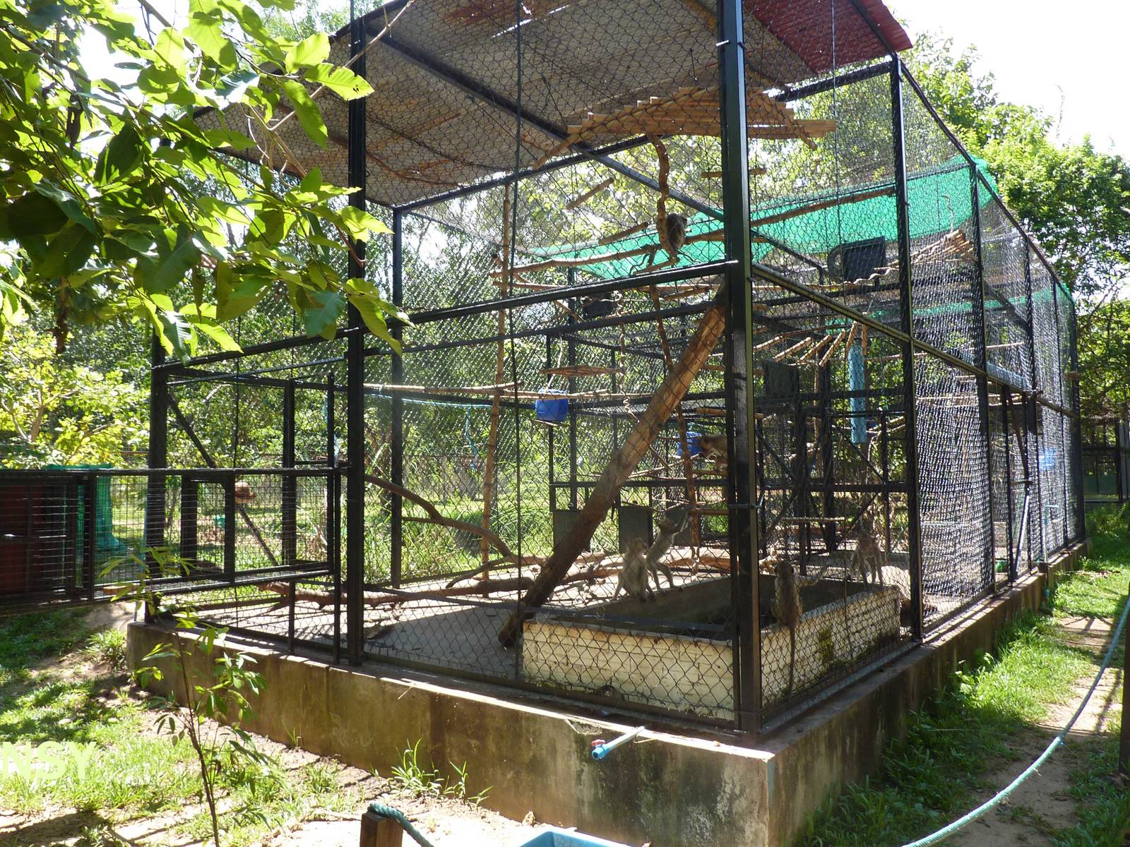Macaque enclosures, May 2013
