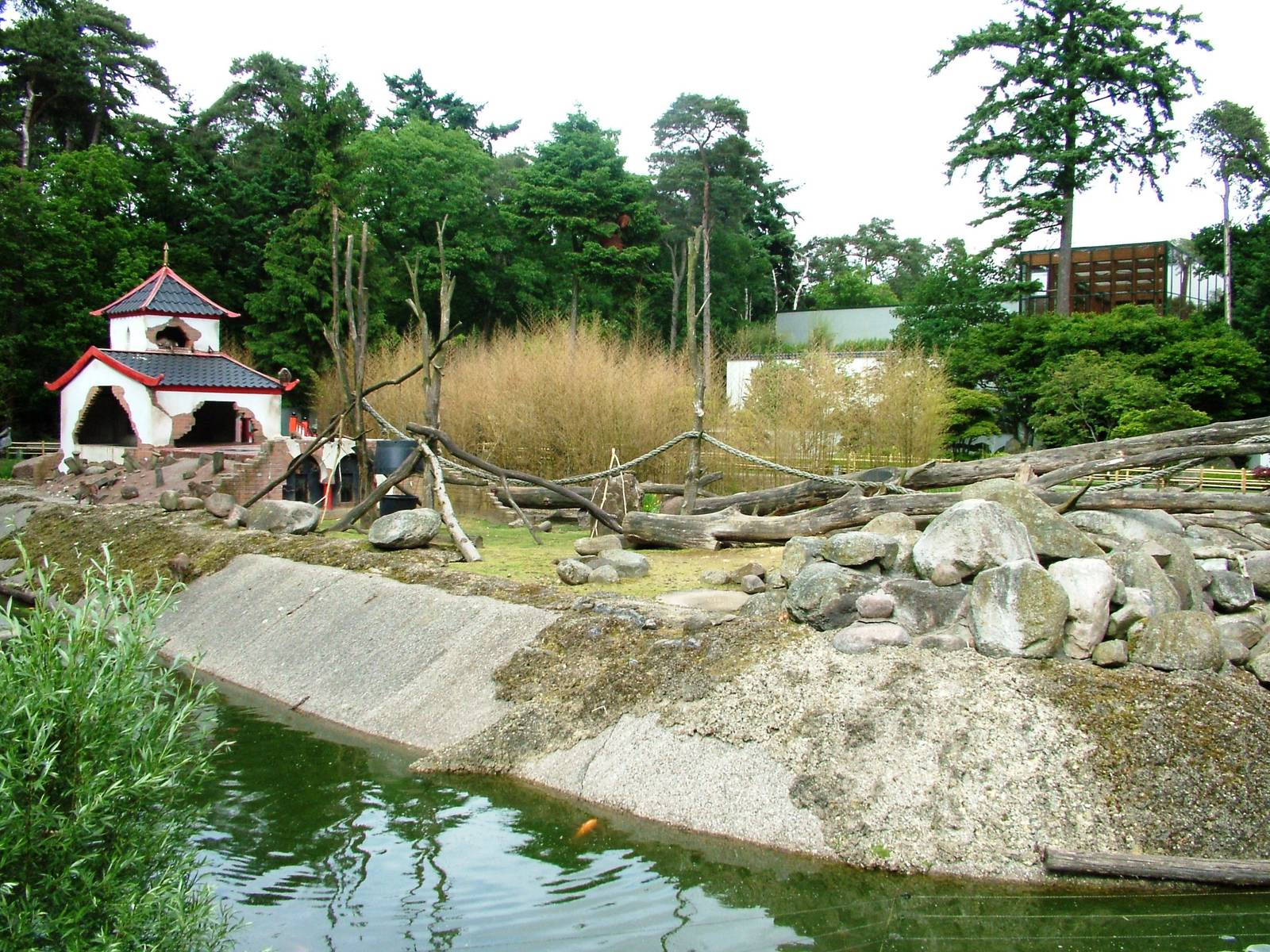 Macaque Exhibit at Amersfoort, 01/06/12