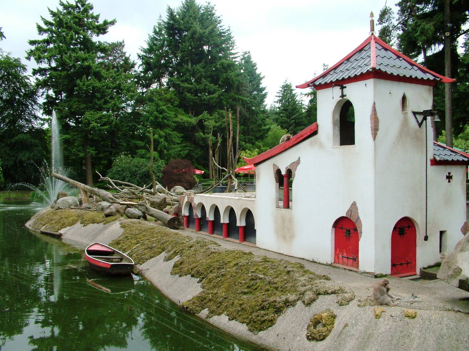 Macaque Exhibit at Amersfoort, 01/06/12