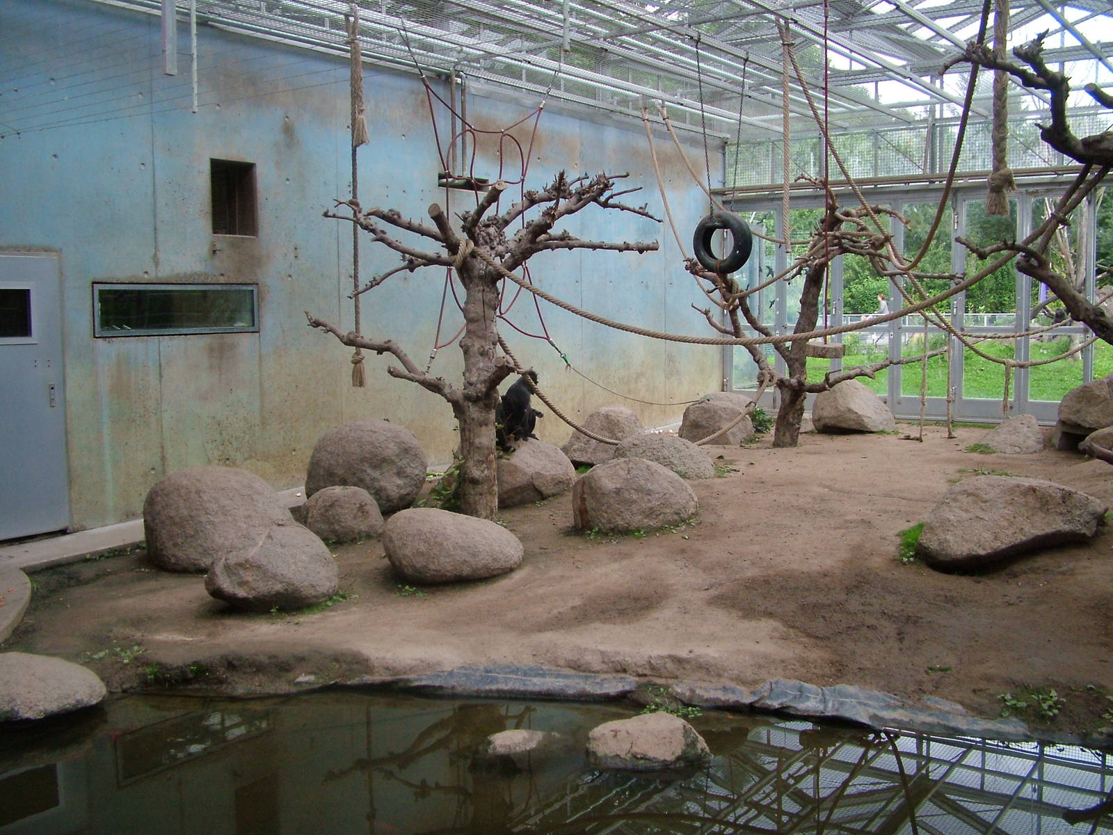 Macaque Exhibit at Darmstadt, 30/08/10