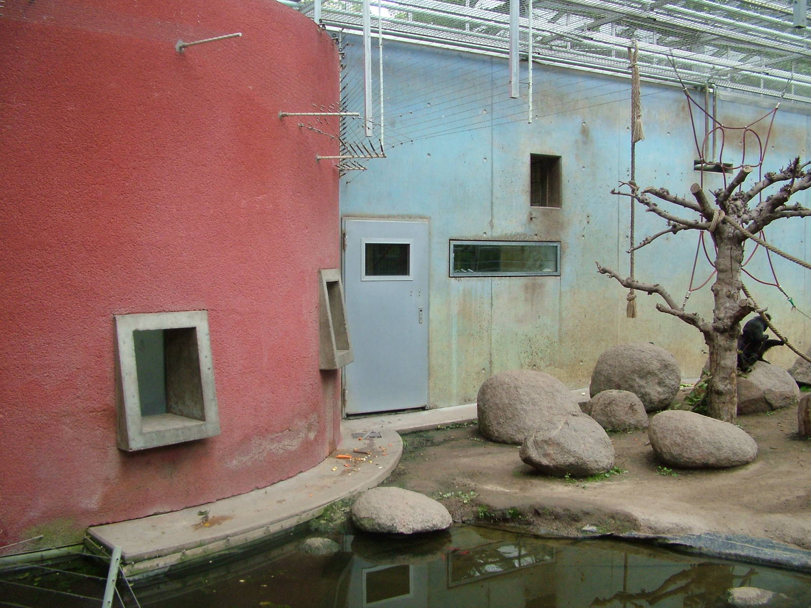 Macaque Exhibit at Darmstadt, 30/08/10