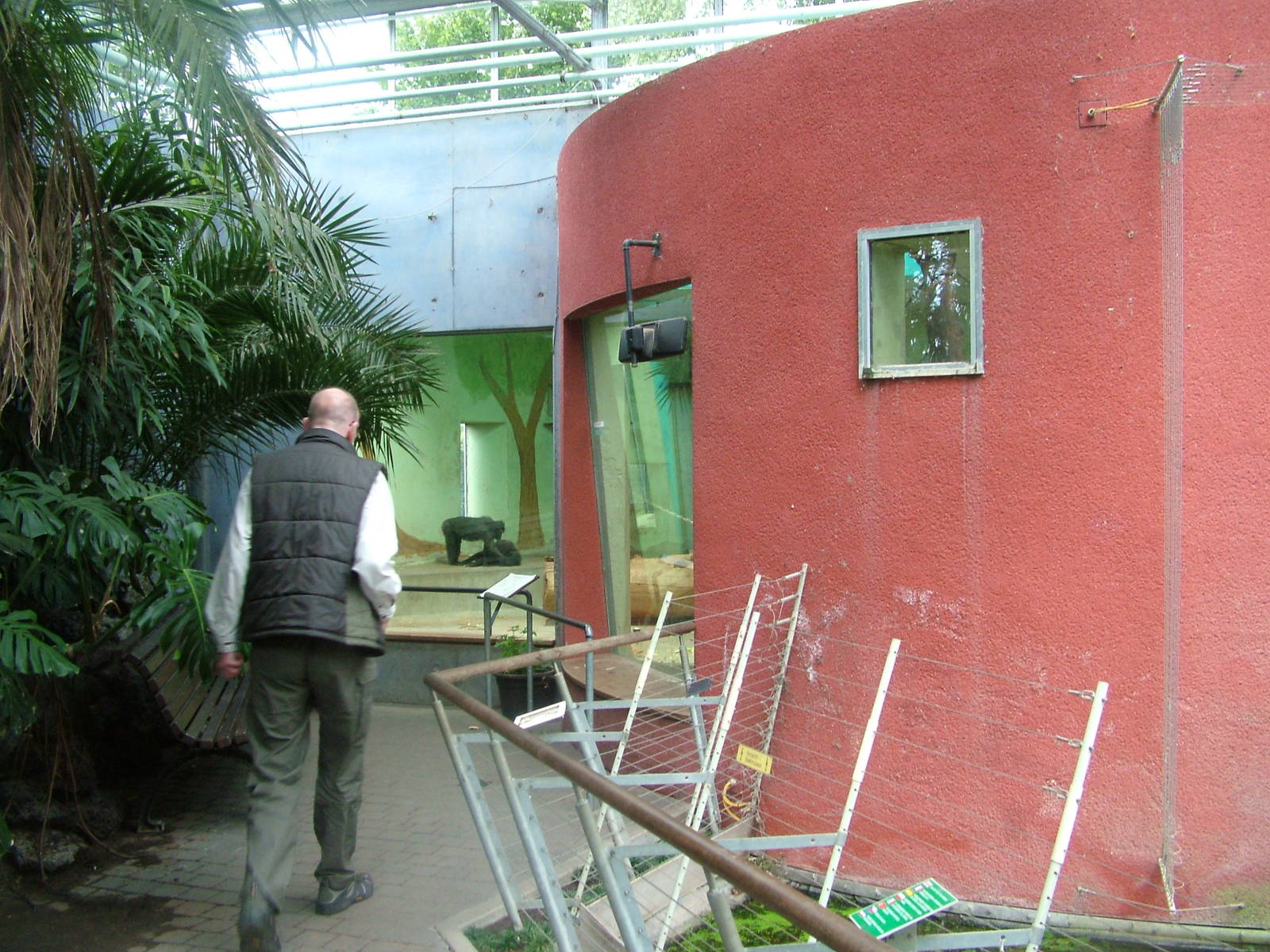 Macaque Exhibit at Darmstadt, 30/08/10