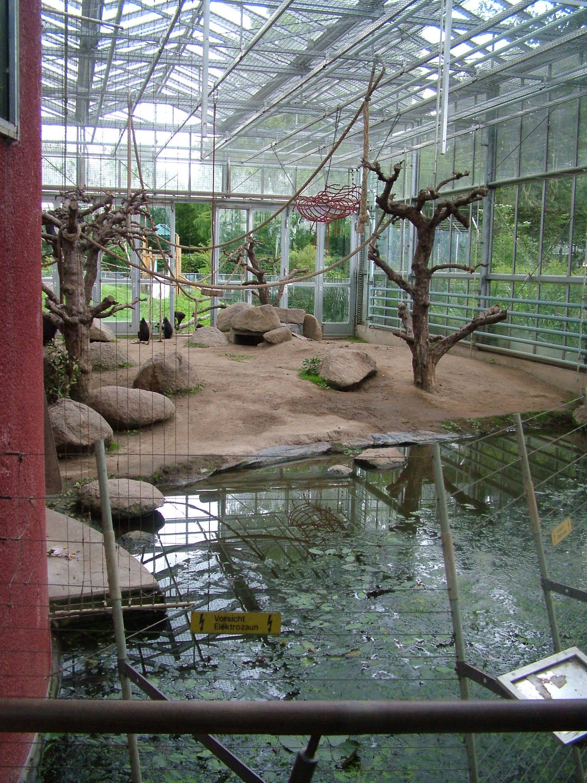 Macaque Exhibit at Darmstadt, 30/08/10