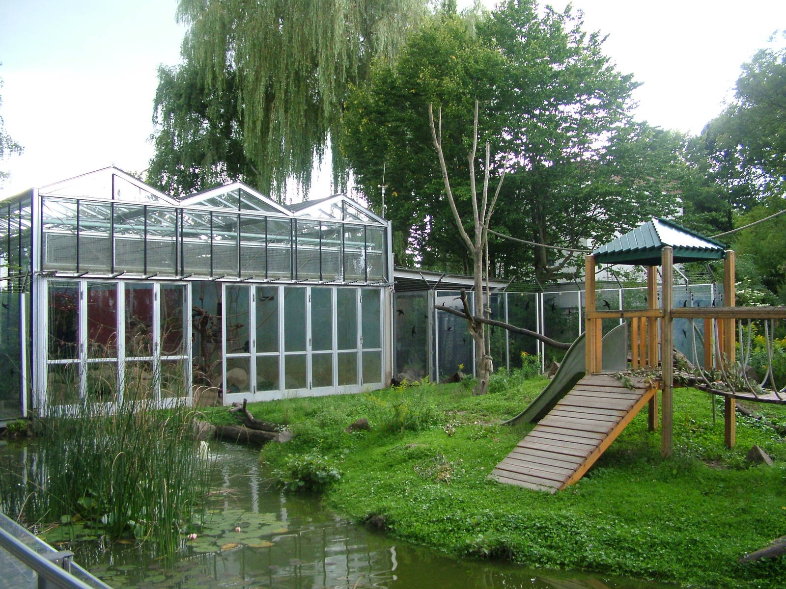 Macaque Exhibit at Darmstadt, 30/08/10