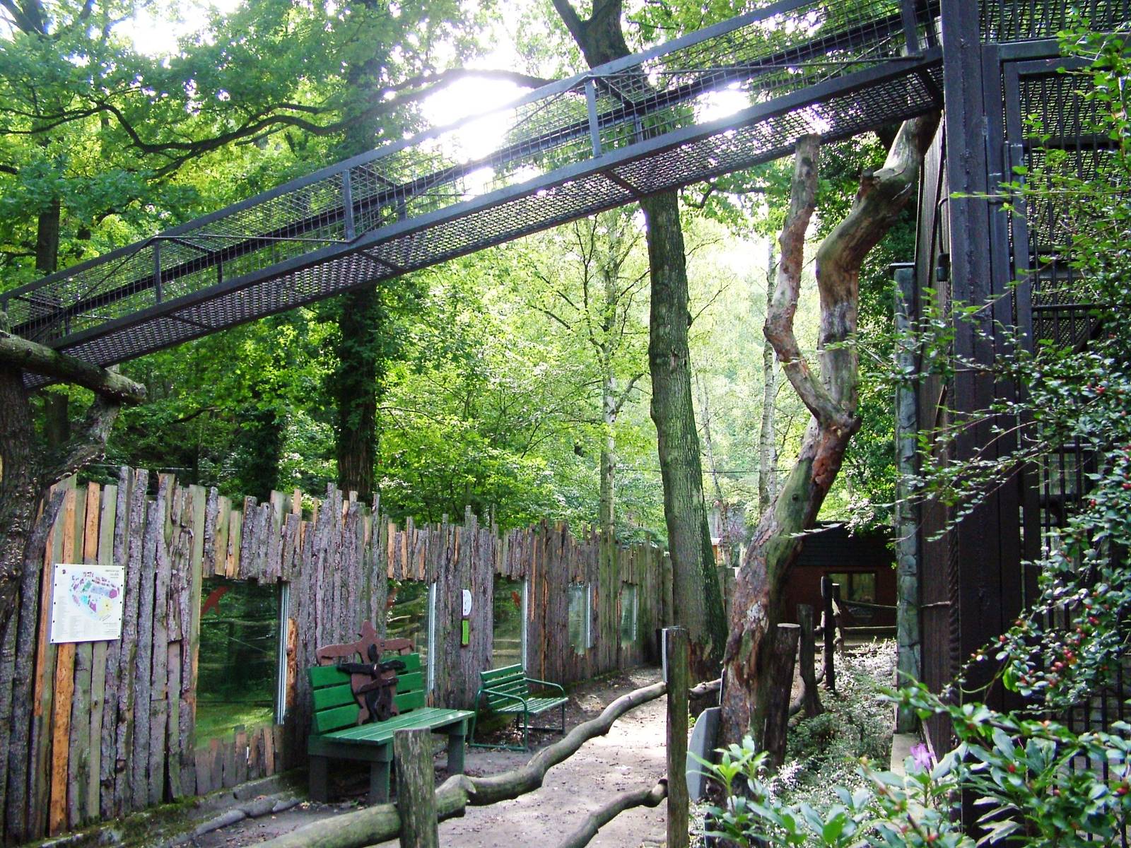 Macaque Exhibit at Decin, 28/08/12