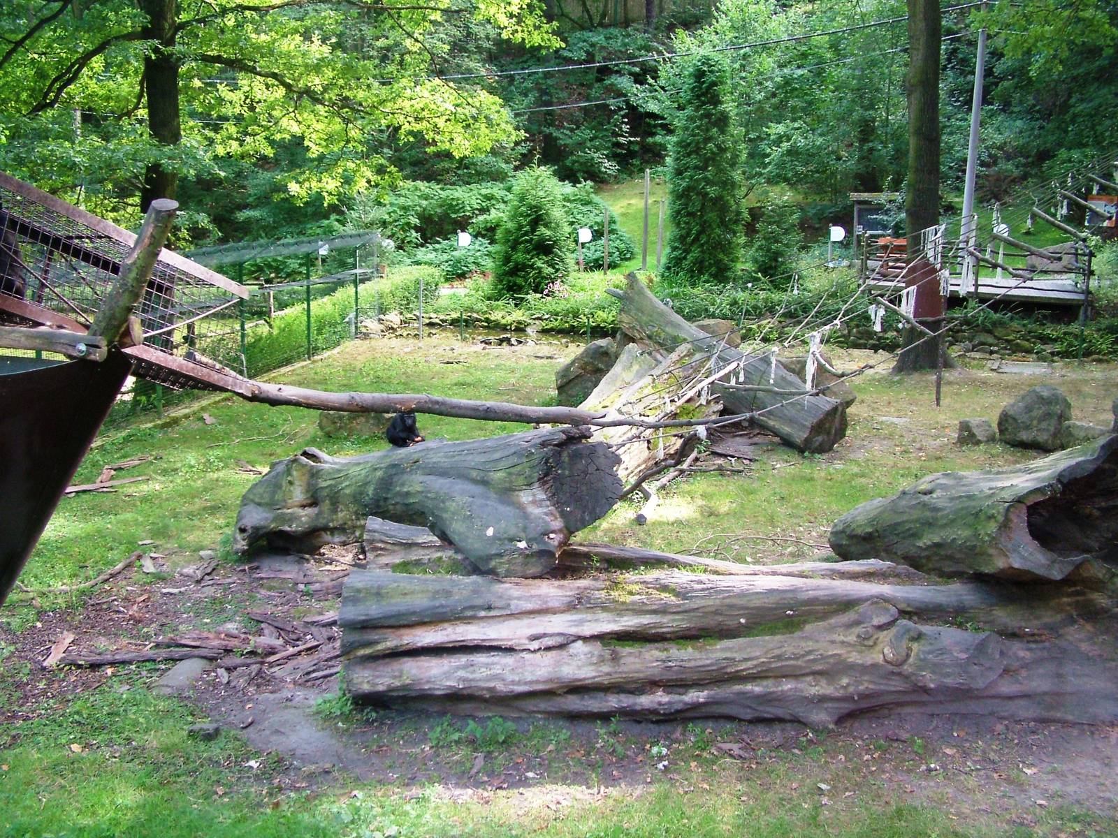 Macaque Exhibit at Decin, 28/08/12