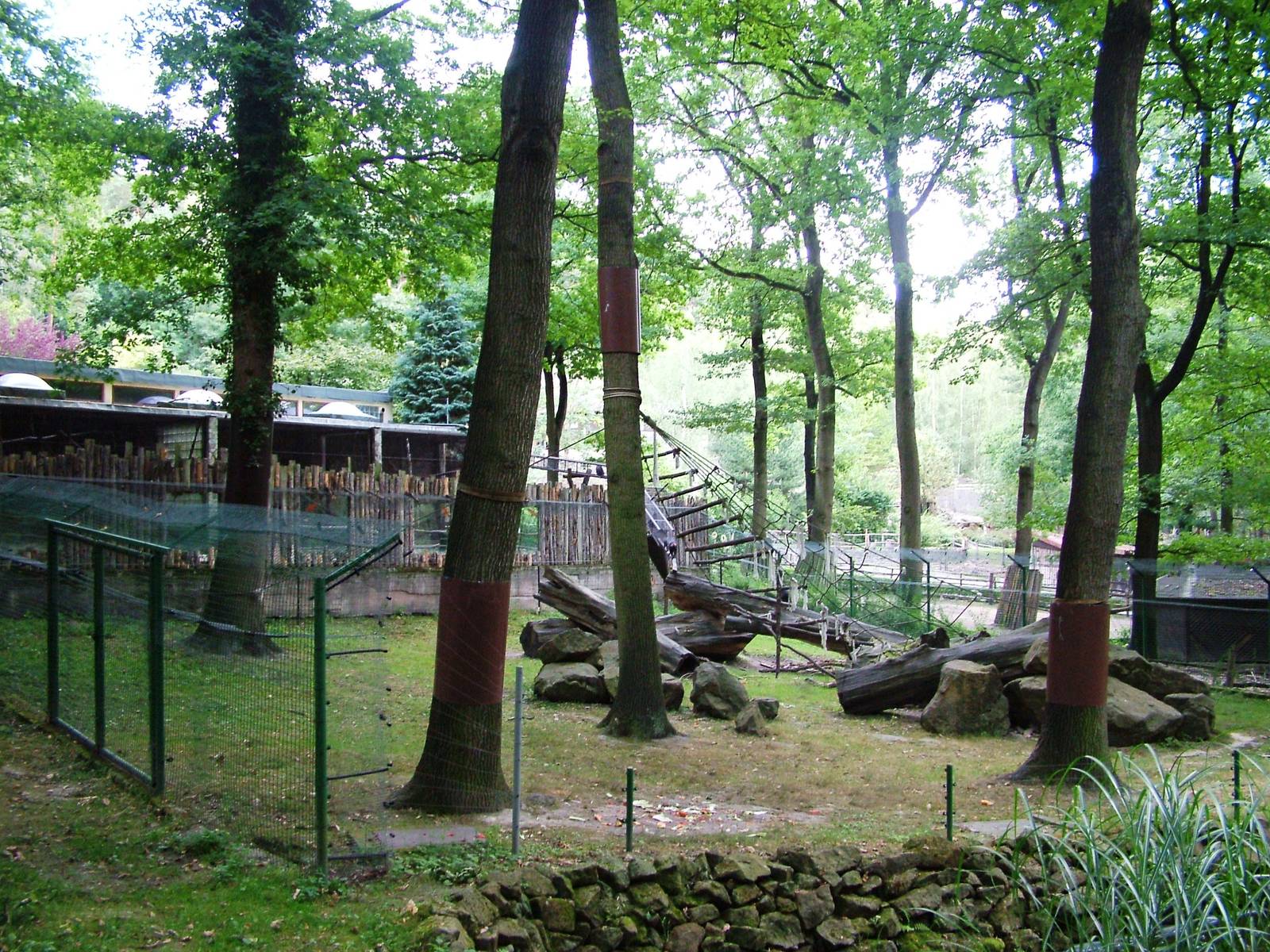 Macaque Exhibit at Decin, 28/08/12