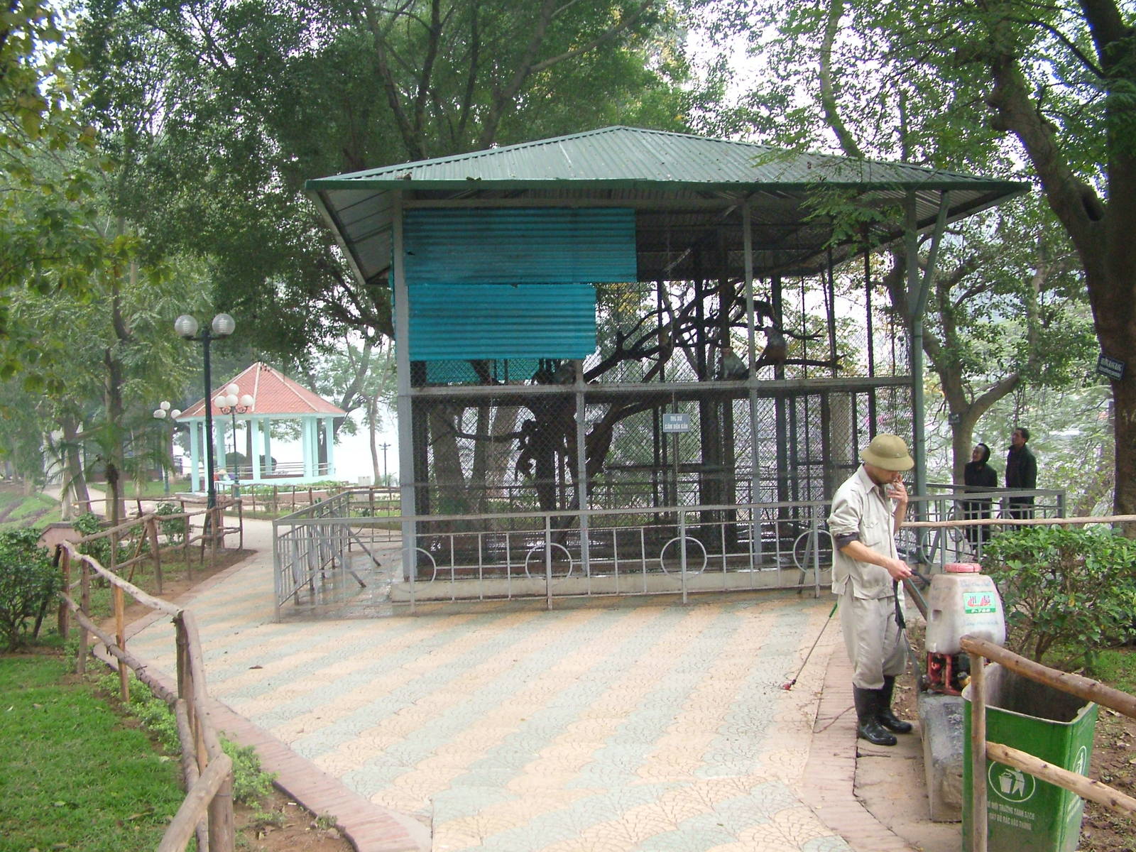 Macaque Exhibit at Hanoi Zoo, 15/03/12