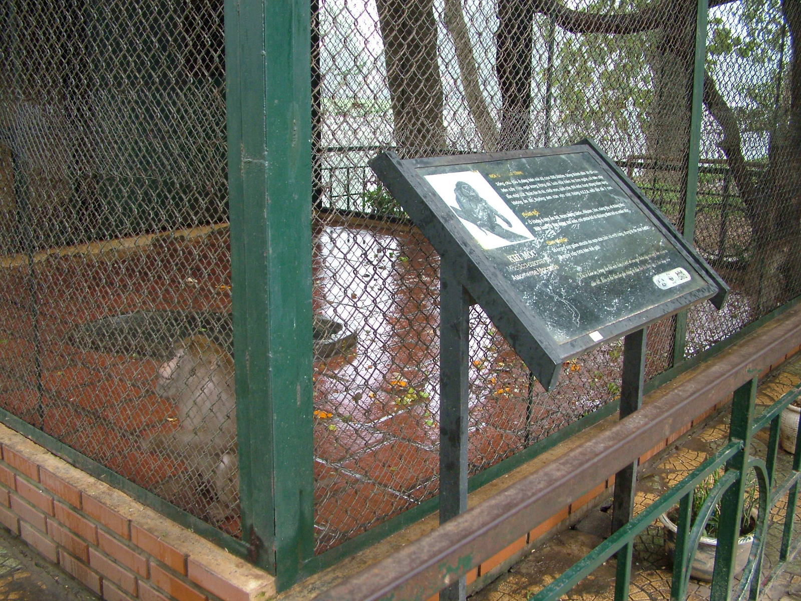 Macaque Exhibit at Hanoi Zoo, 15/03/12