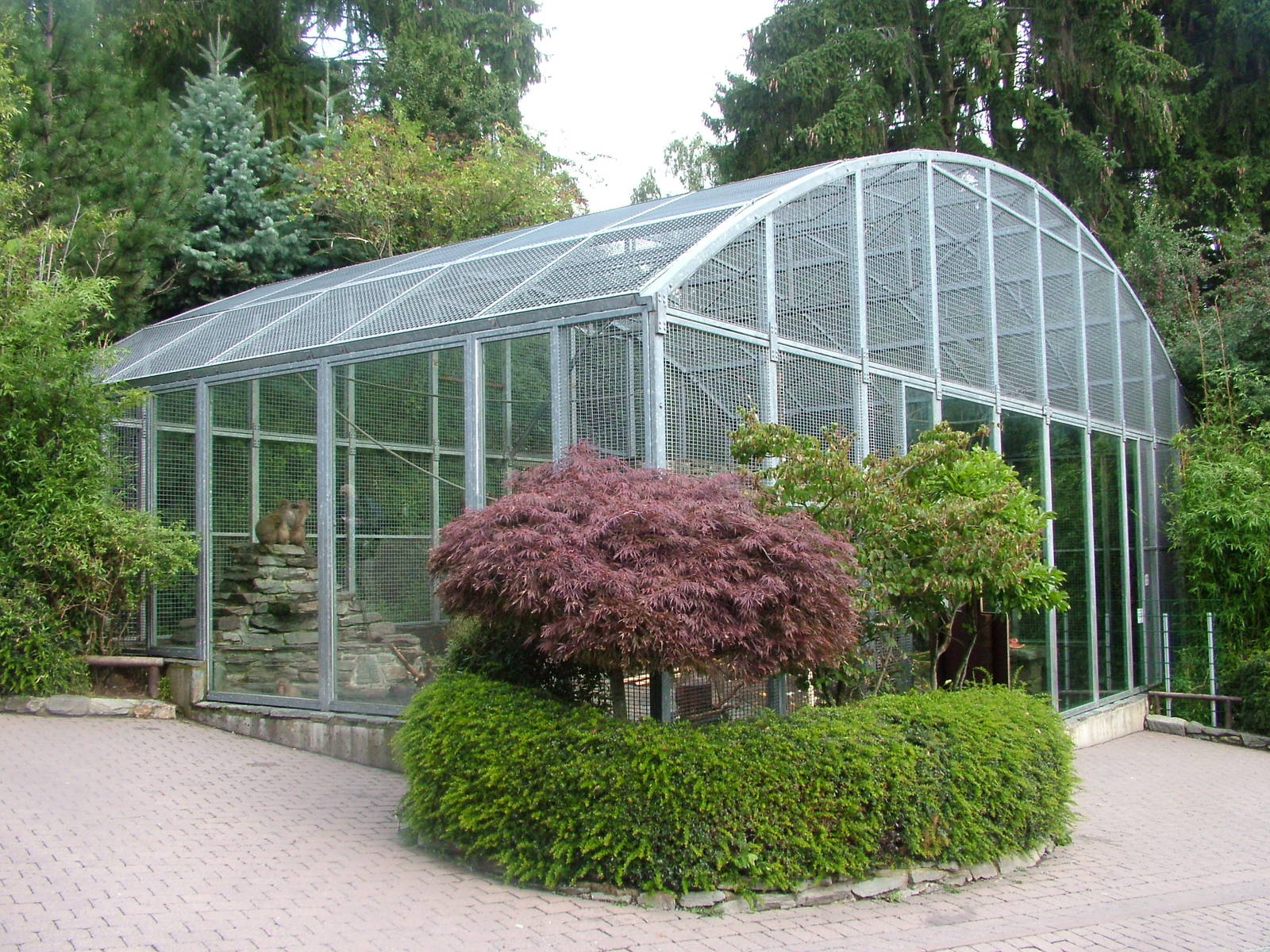 Macaque Exhibit at Opel-Zoo Kronberg, 30/08/10