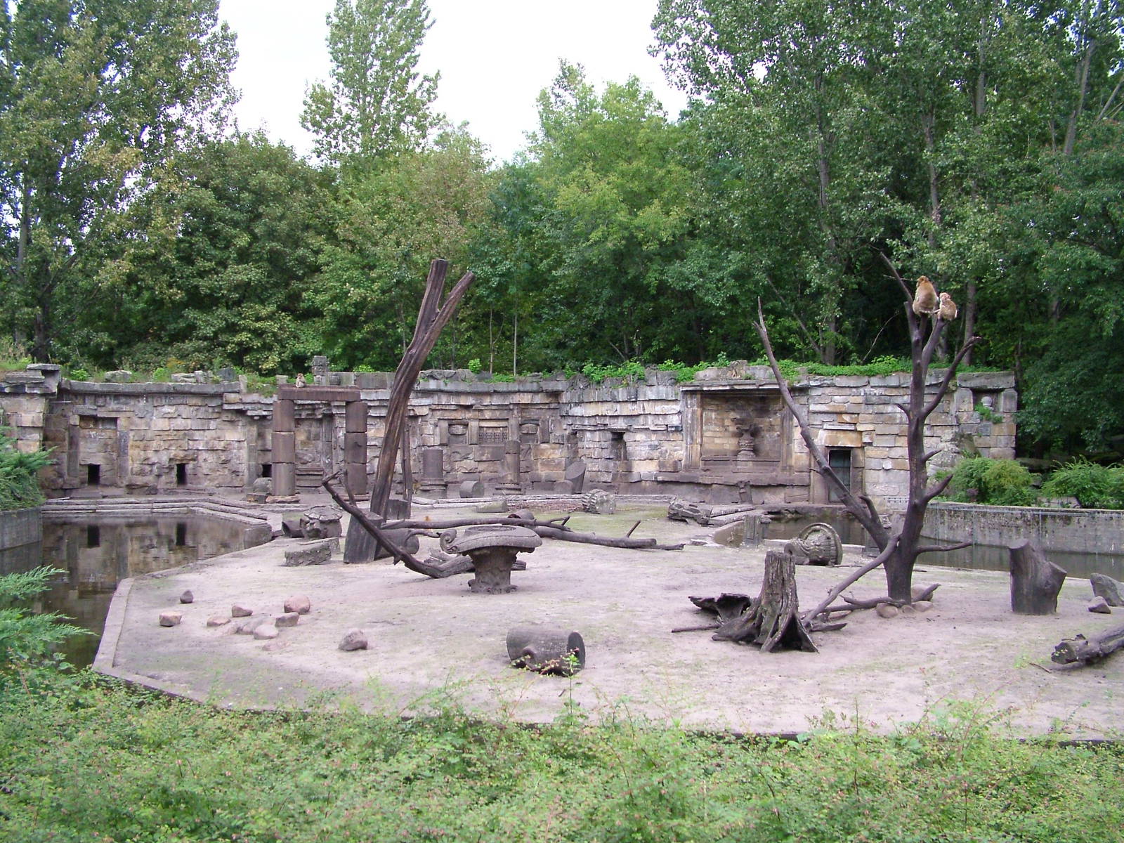 Macaque Exhibit at Tierpark Berlin, 30/08/11