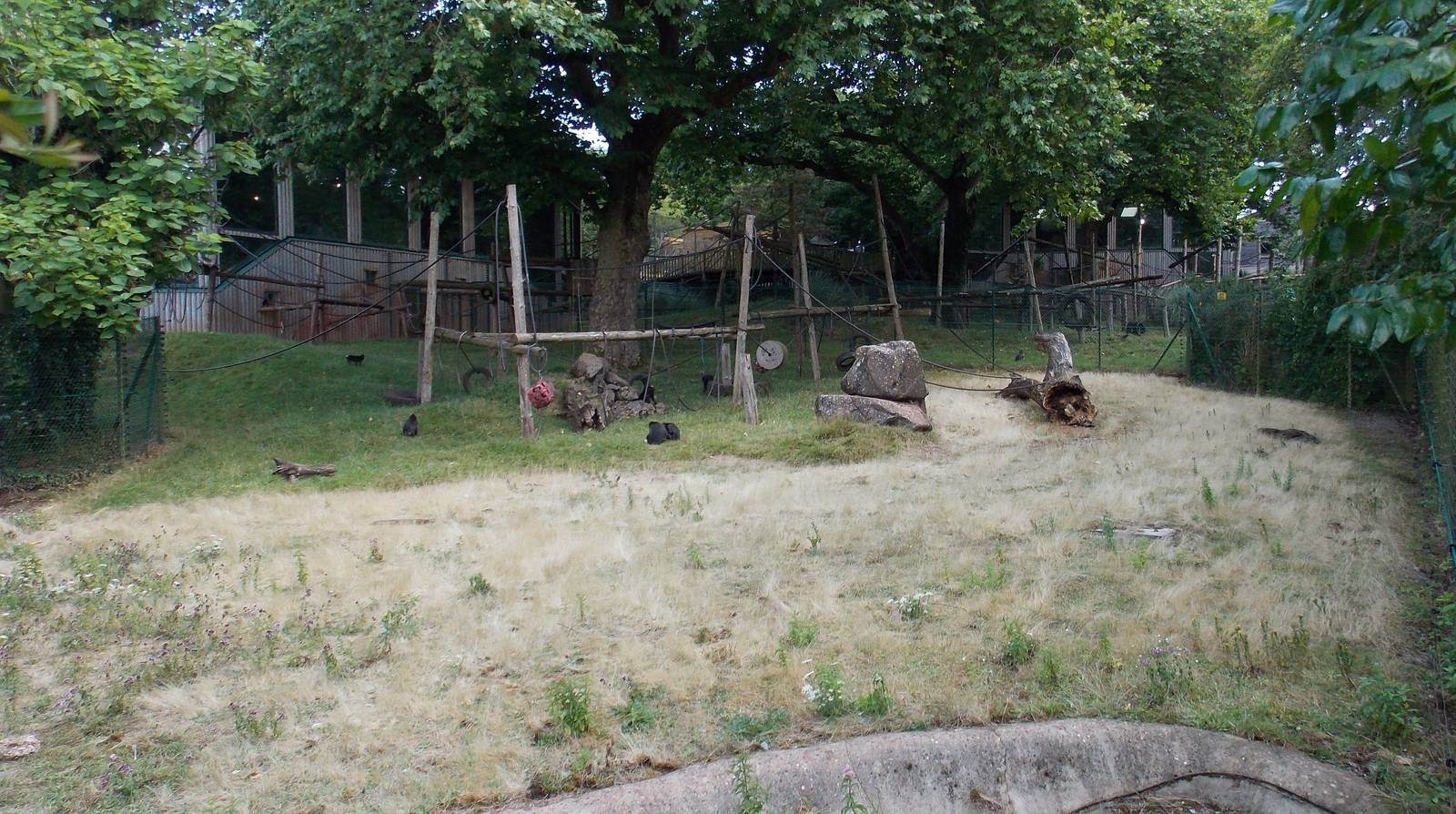 Macaque Exhibit