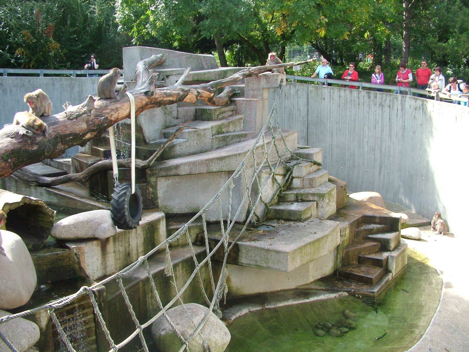 Macaque Rock at Wilhelma, Stuttgart 02/09/10