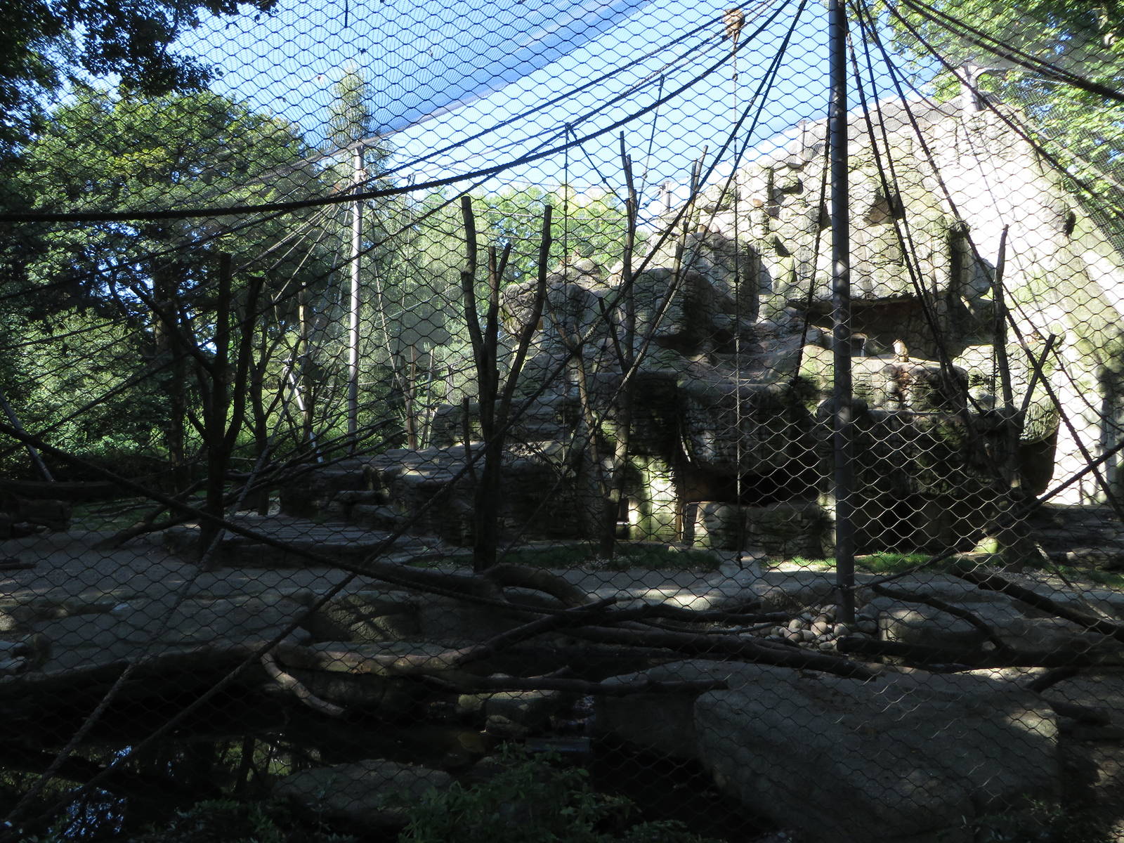 Macaque rock