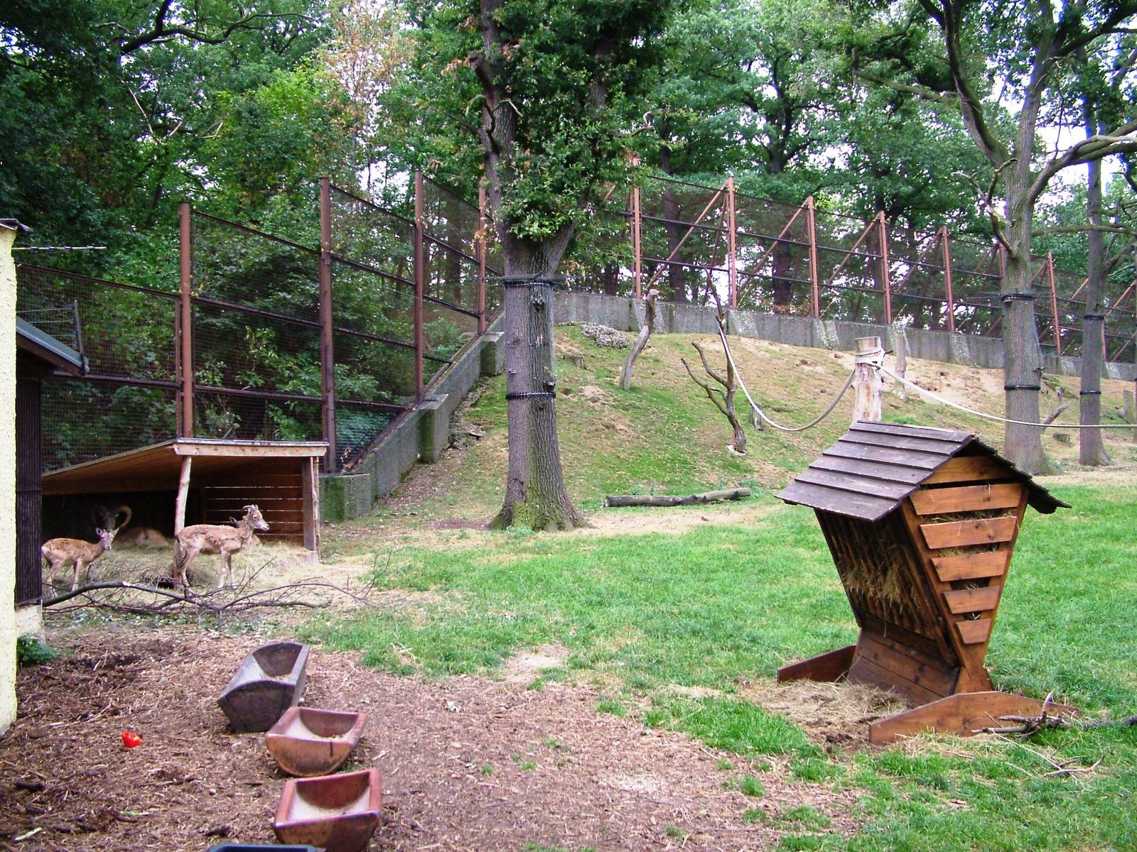 Macaque/Sheep Exhibit at Chomutov, 30/08/12