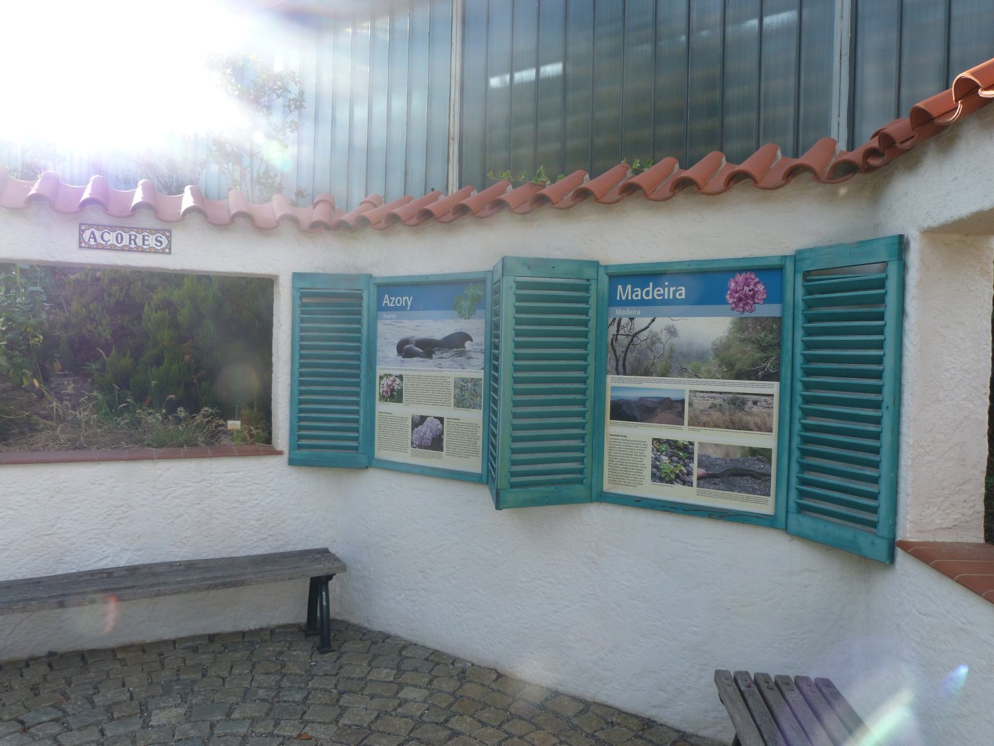 Macaronesian display -Zoo Plzeň (2025)