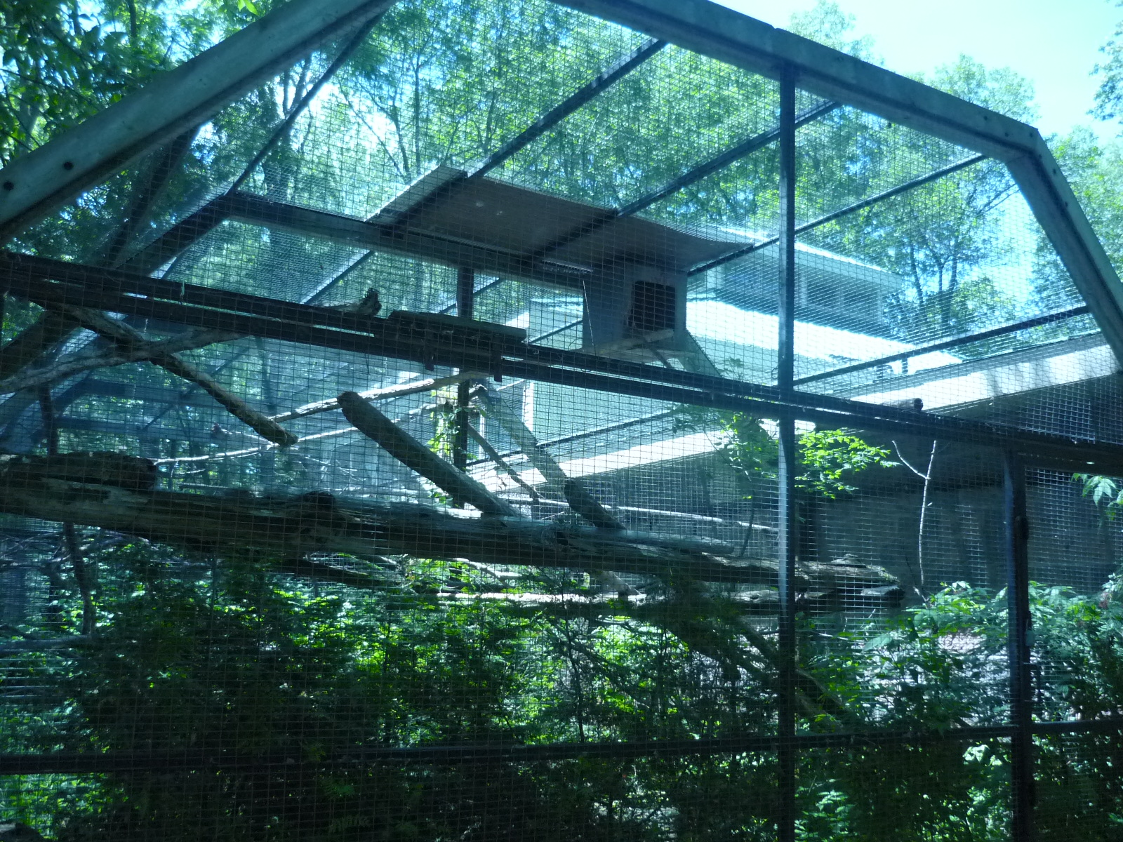 Macaw/Agouti Exhibit